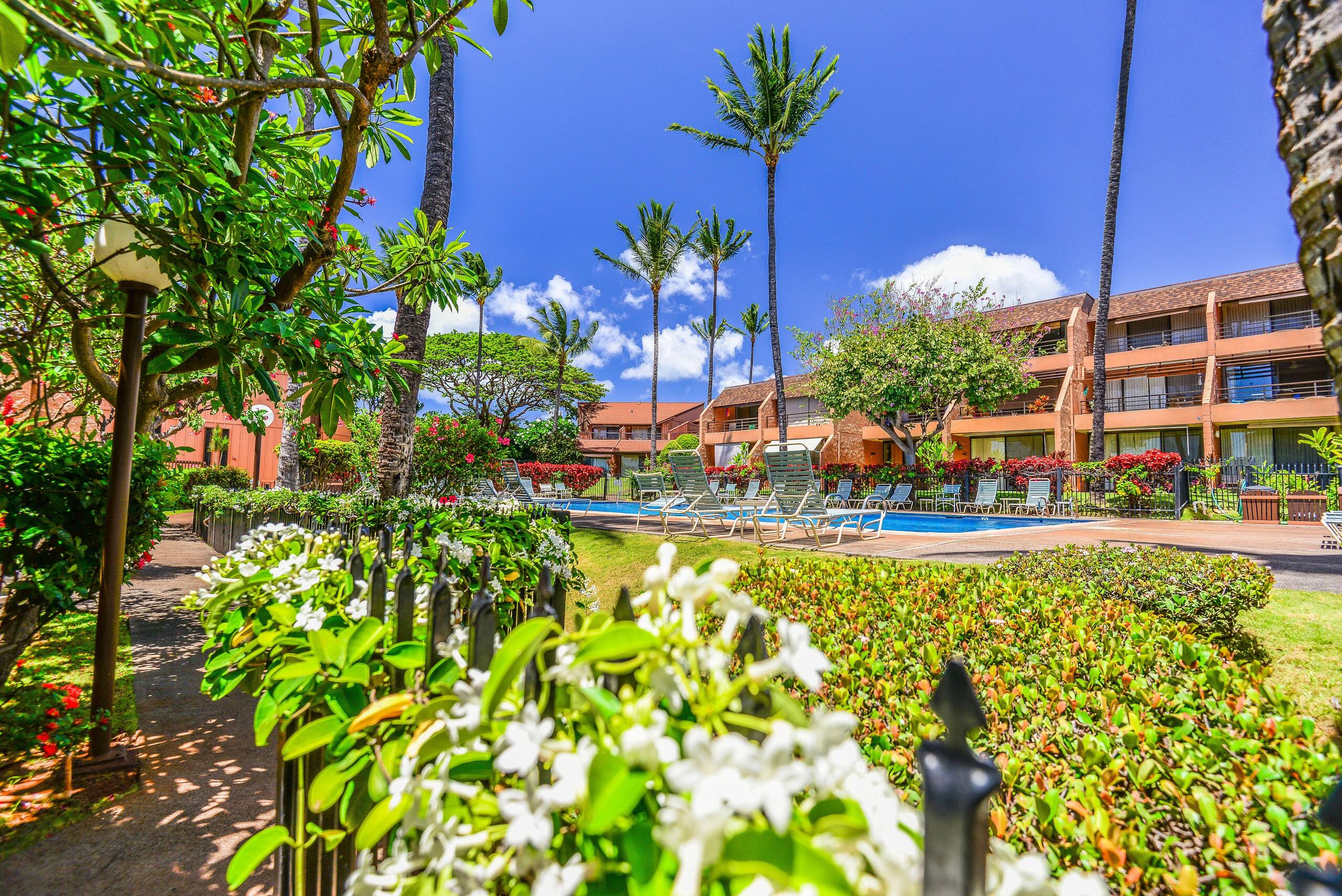 Condo in Lahaina · ★4.8 · 1 bedroom · 1 bed · 1 bath - Image 25
