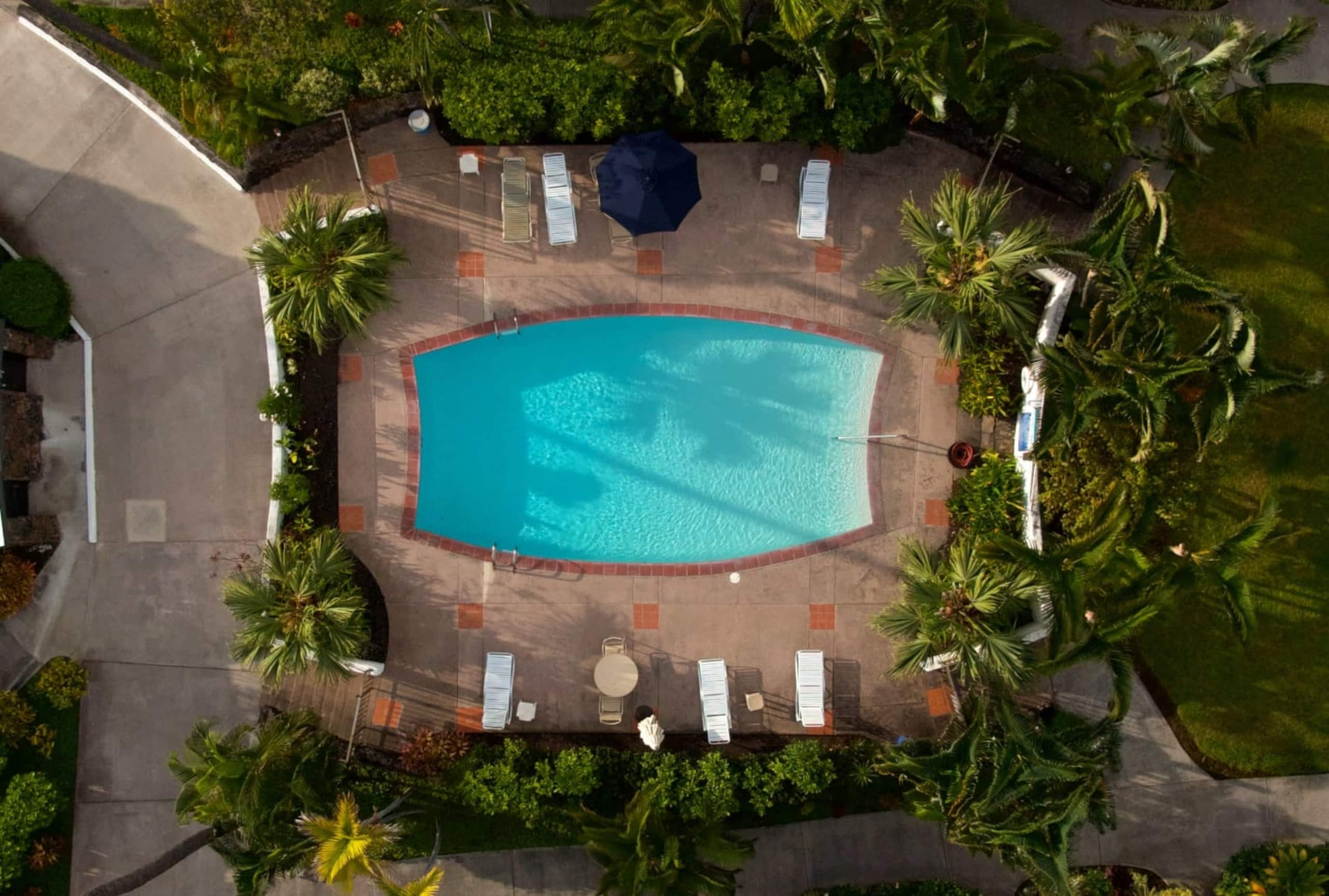 Condo in Kailua-Kona · ★4.91 · 1 bedroom · 3 beds · 1 private bath - Image 15