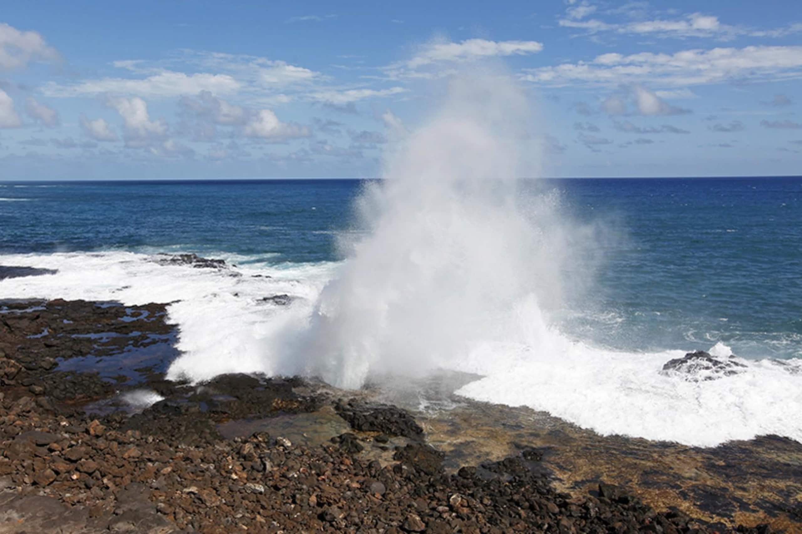 Condo in Koloa · ★4.84 · 3 bedrooms · 5 beds · 3 shared baths - Image 10