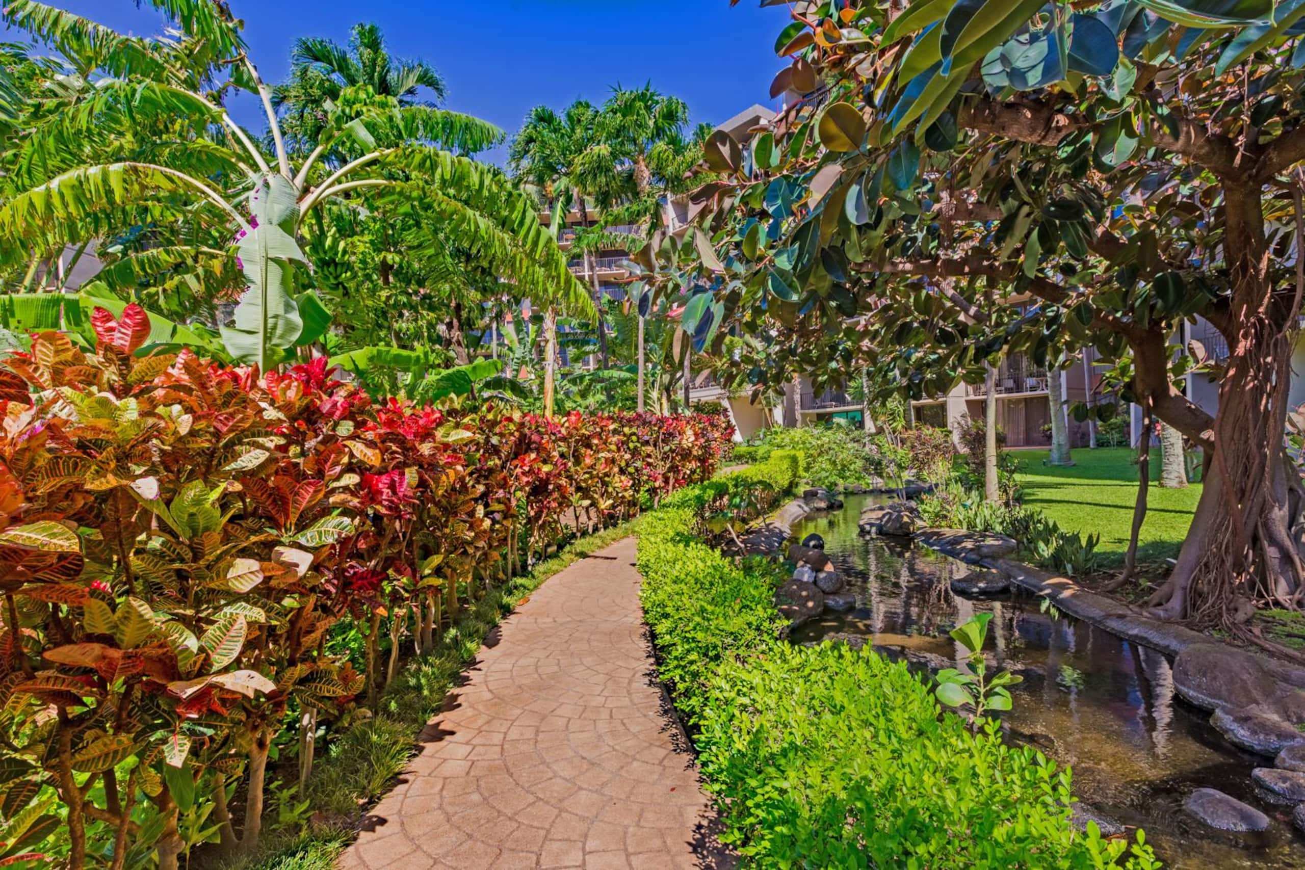 Condo in Lahaina · ★4.57 · 1 bedroom · 2 beds · 1 bath - Image 36