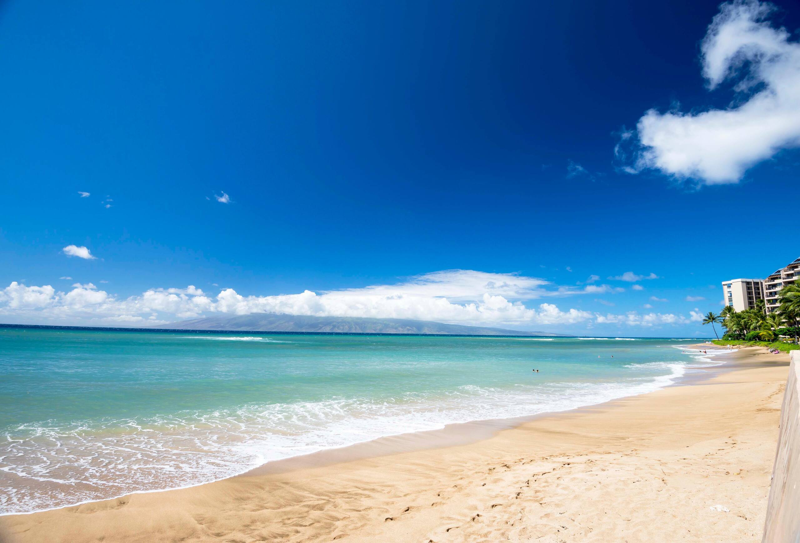 Condo in Lahaina · ★4.82 · 1 bedroom · 2 beds · 1 bath - Image 34