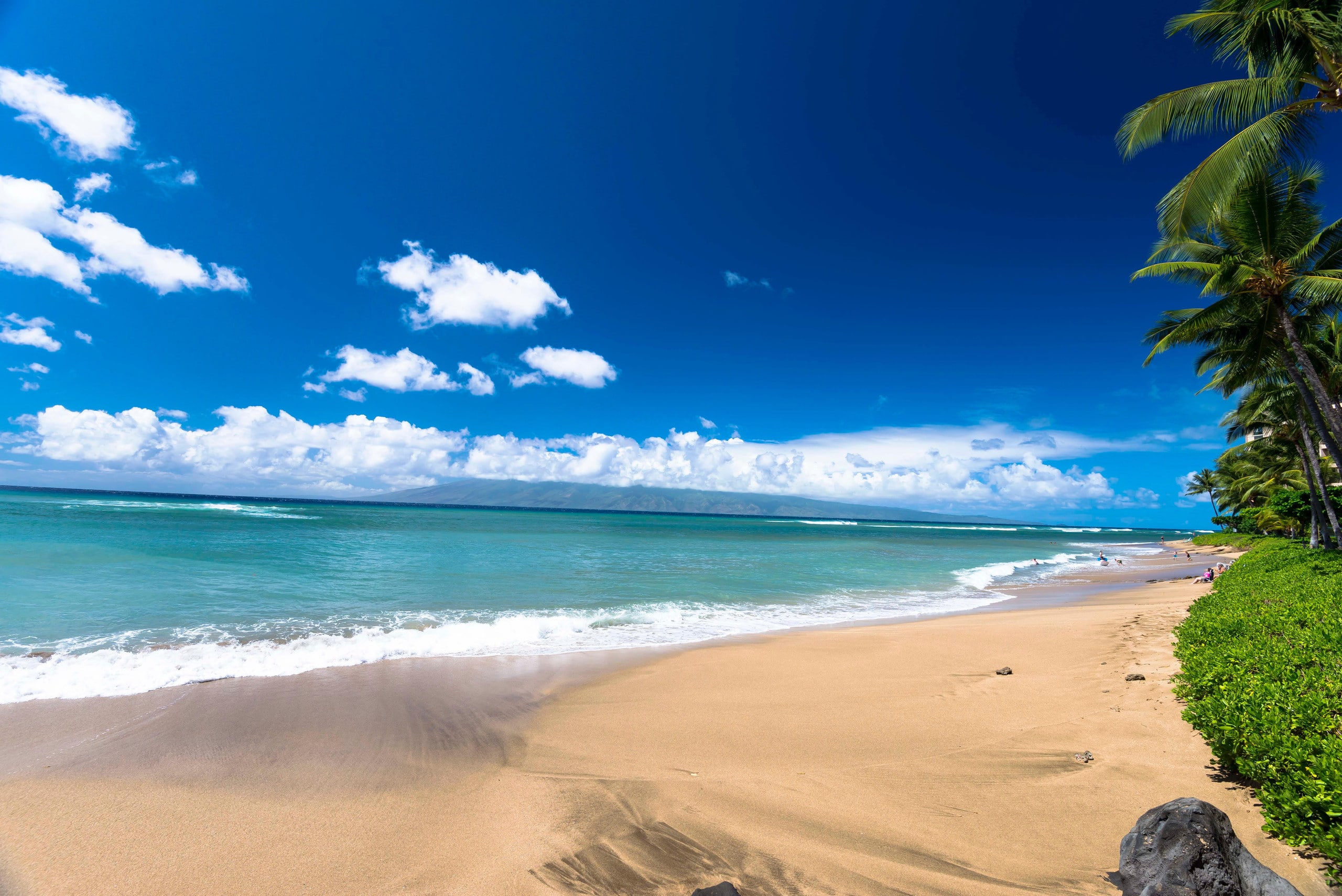 Condo in Lahaina · ★4.82 · 1 bedroom · 2 beds · 1 bath - Image 32