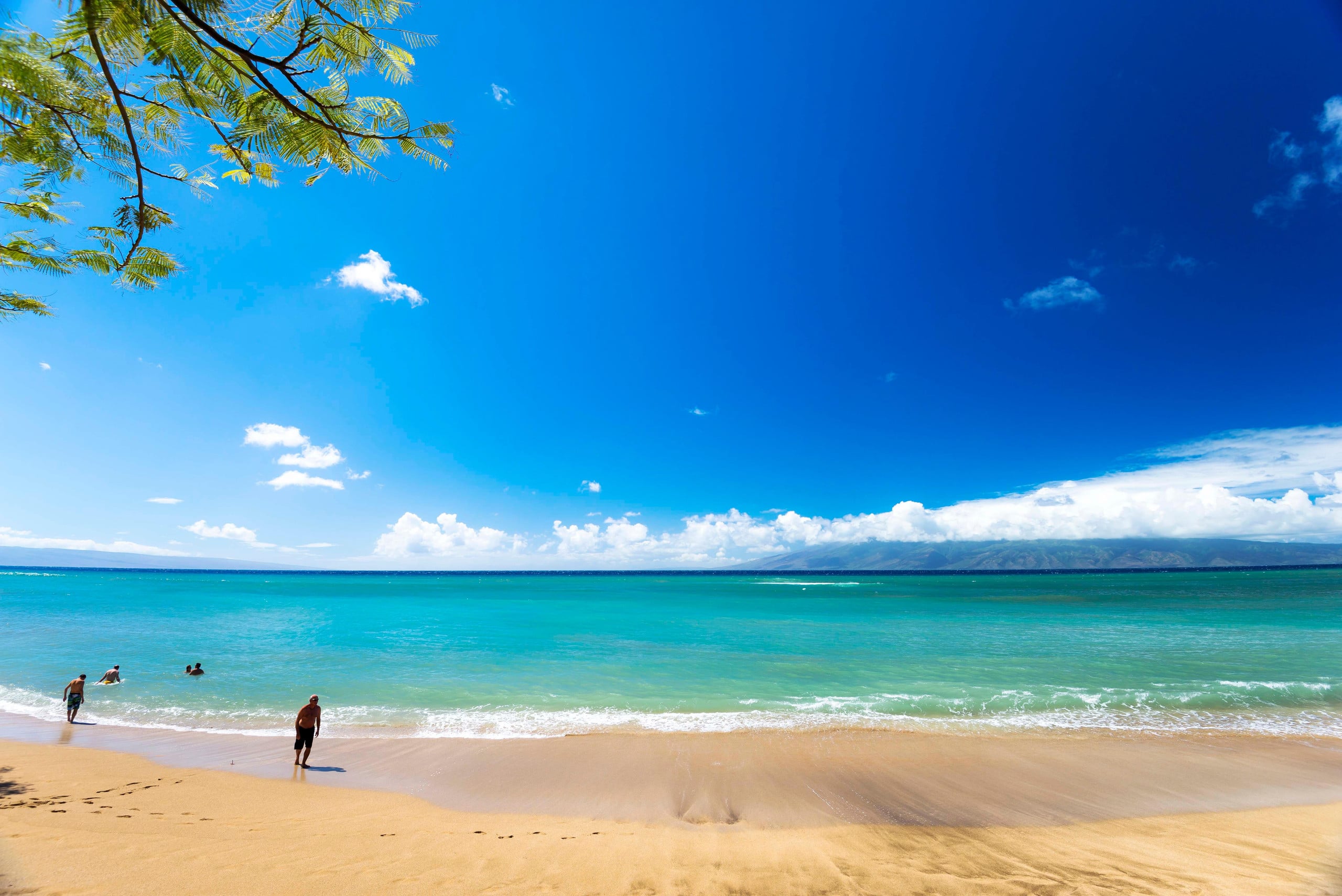 Condo in Lahaina · ★4.82 · 1 bedroom · 2 beds · 1 bath - Image 33