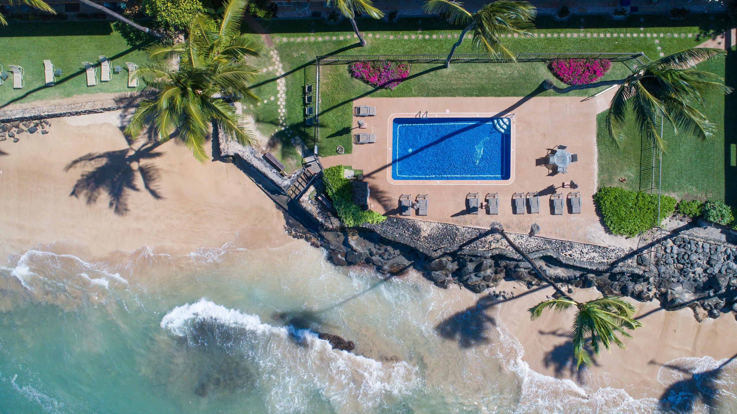Condo in Lahaina · ★4.93 · 1 bedroom · 1 bed · 1 private bath - Image 29