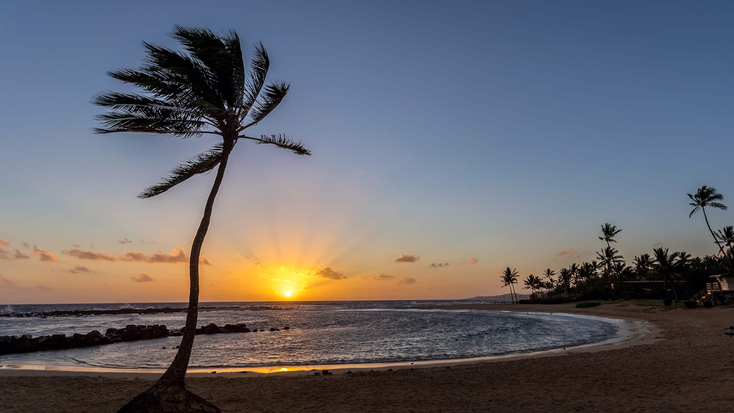 Condo in Koloa · ★4.73 · 2 bedrooms · 3 beds · 2 shared baths - Image 36