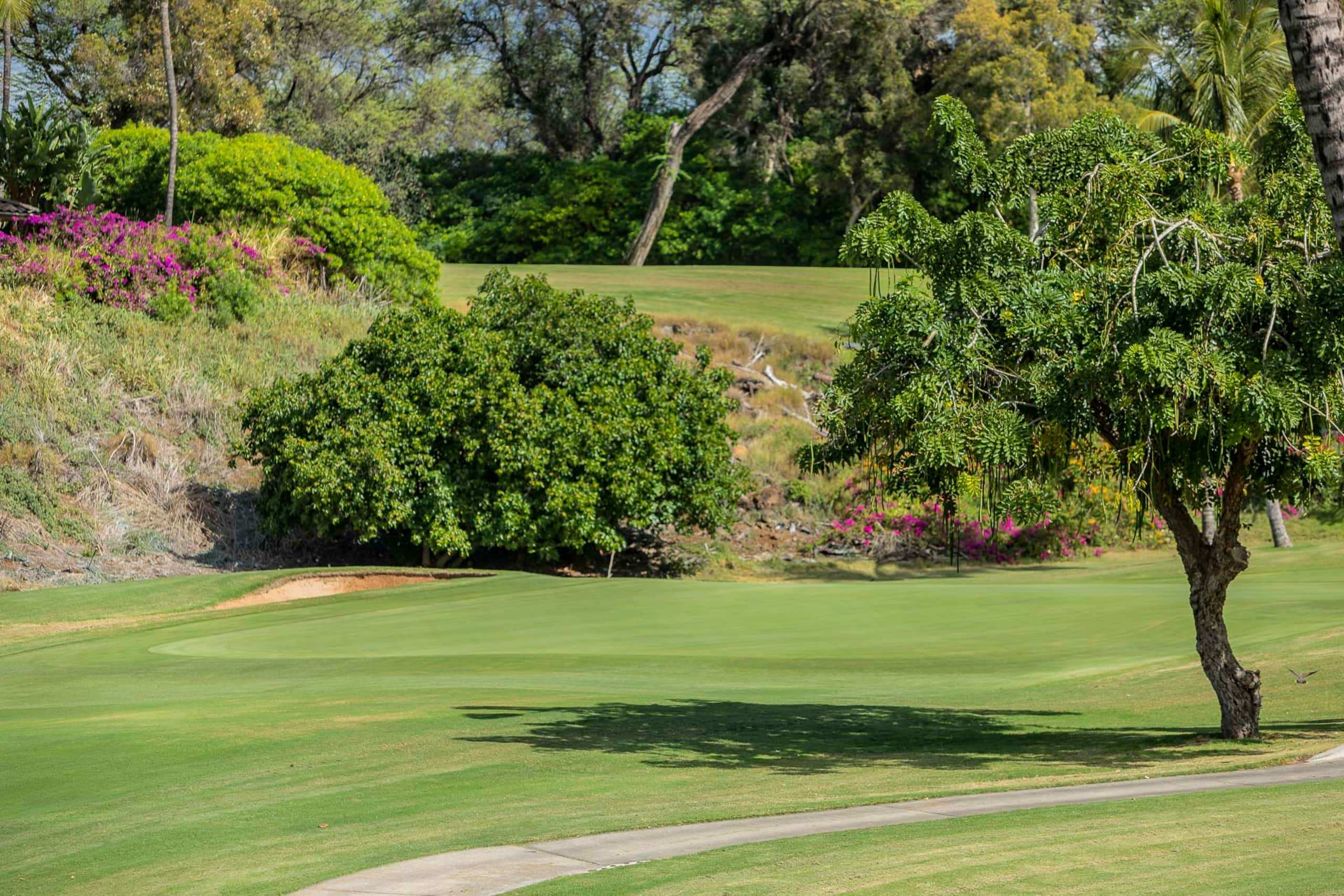 Condo in Kihei · ★4.61 · 1 bedroom · 2 beds · 2 shared baths - Image 10