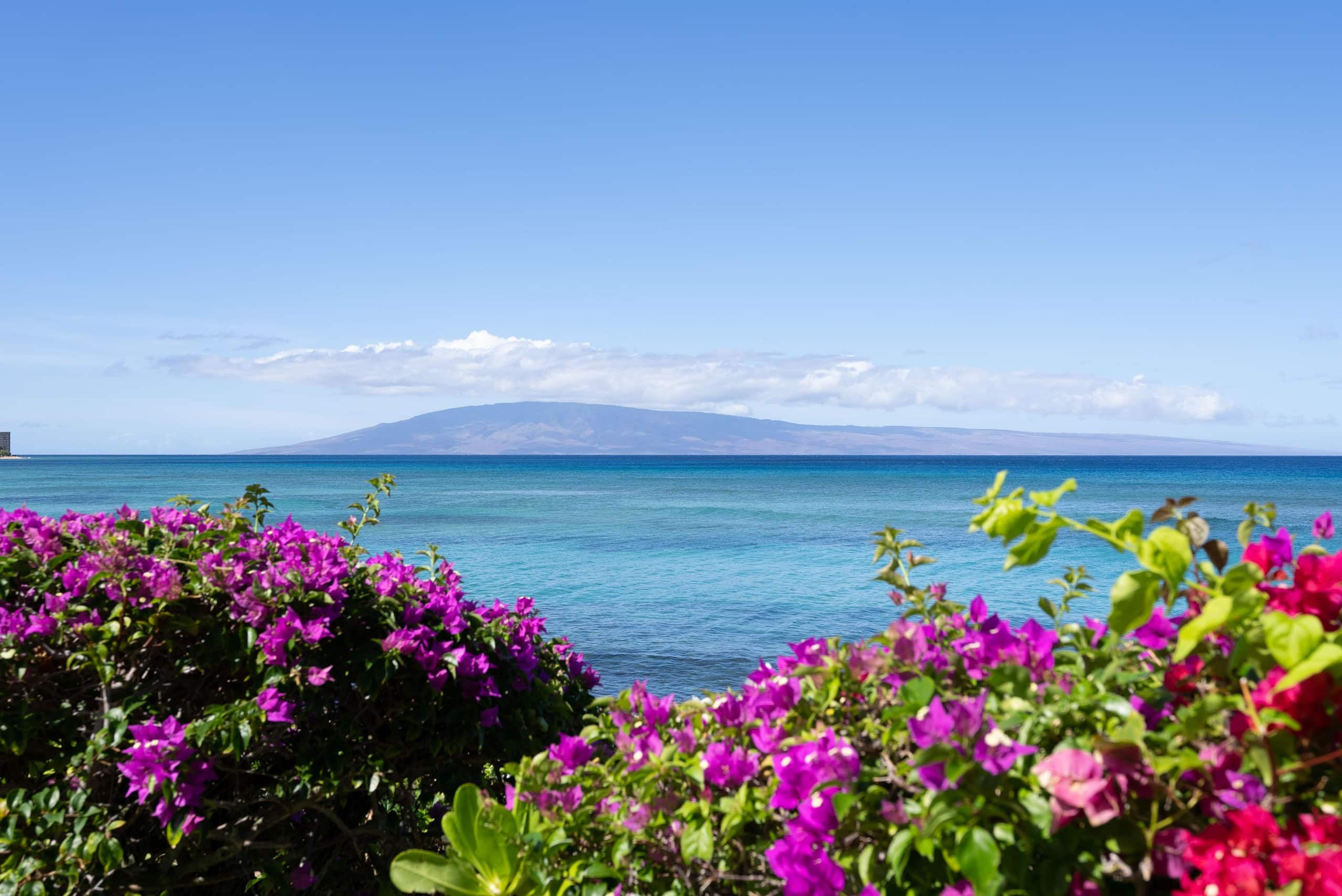 Condo in Lahaina · ★4.75 · 1 bedroom · 2 beds · 1 bath - Image 41