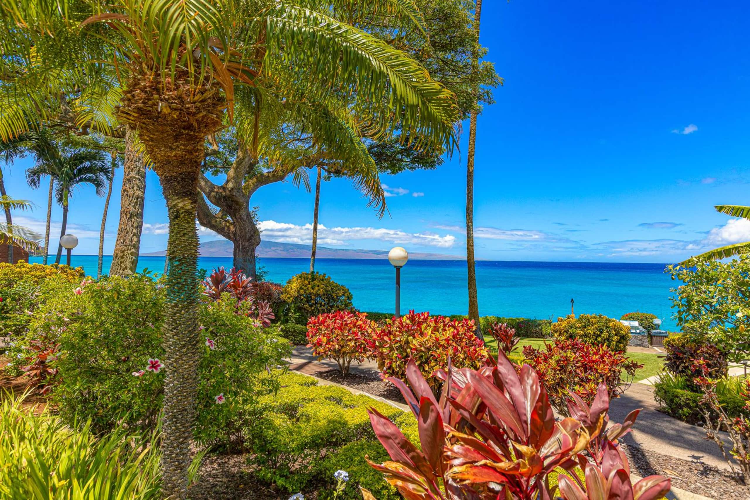Condo in Lahaina · ★4.75 · 1 bedroom · 2 beds · 1 bath - Image 26