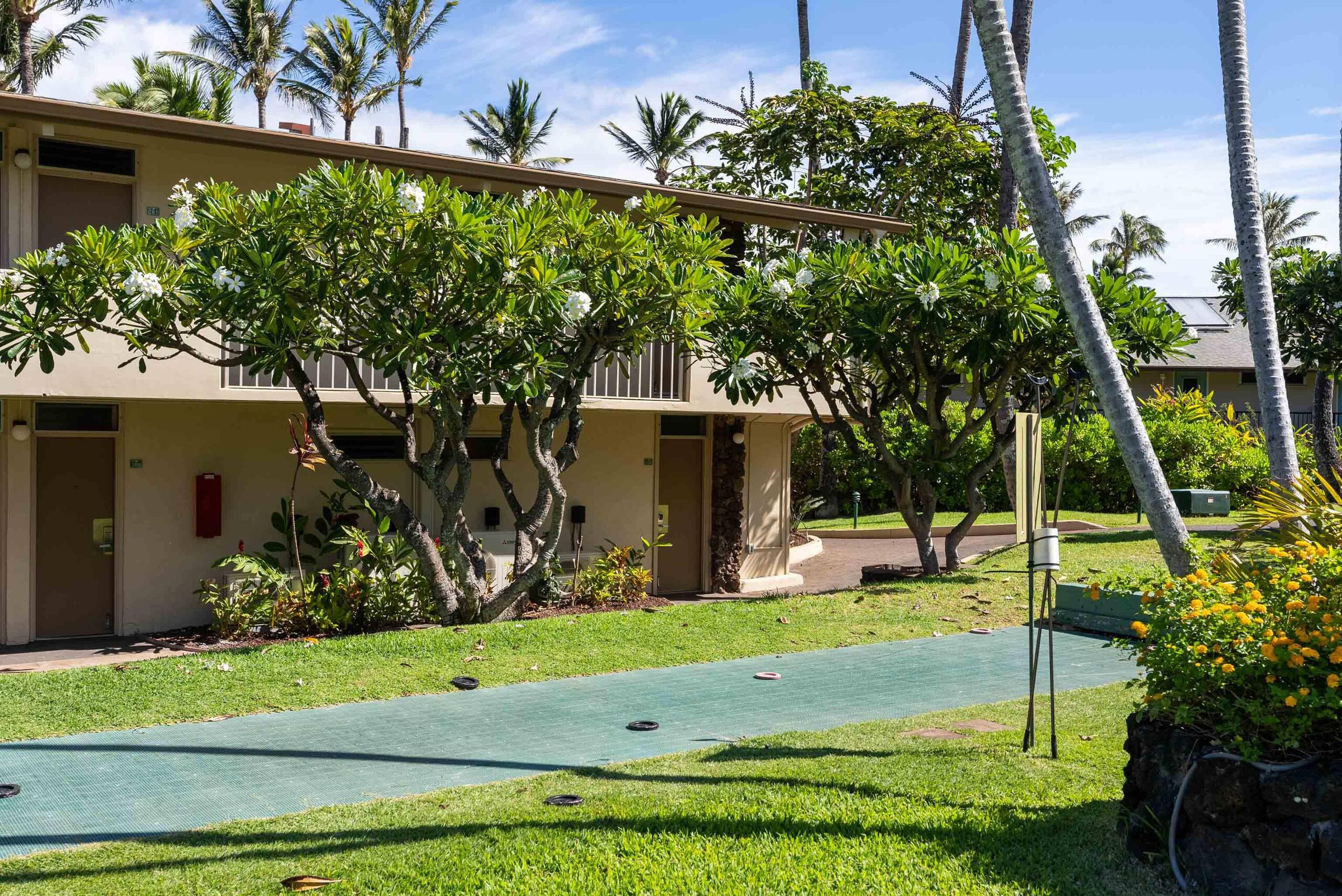 Breathtaking Oceanfront Studio Napili Shores A106 - Image 56