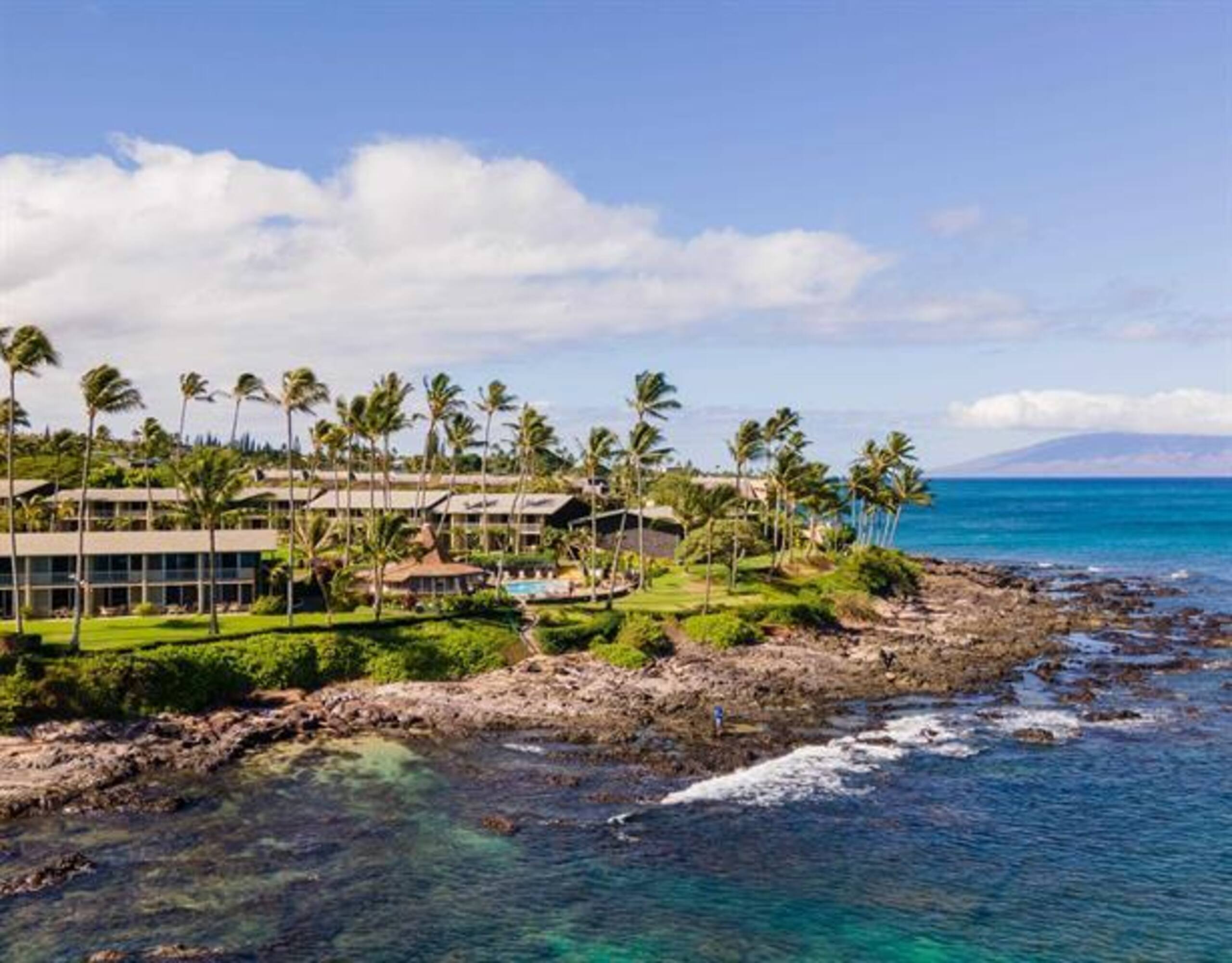 Breathtaking Oceanfront Studio Napili Shores A106 - Image 53