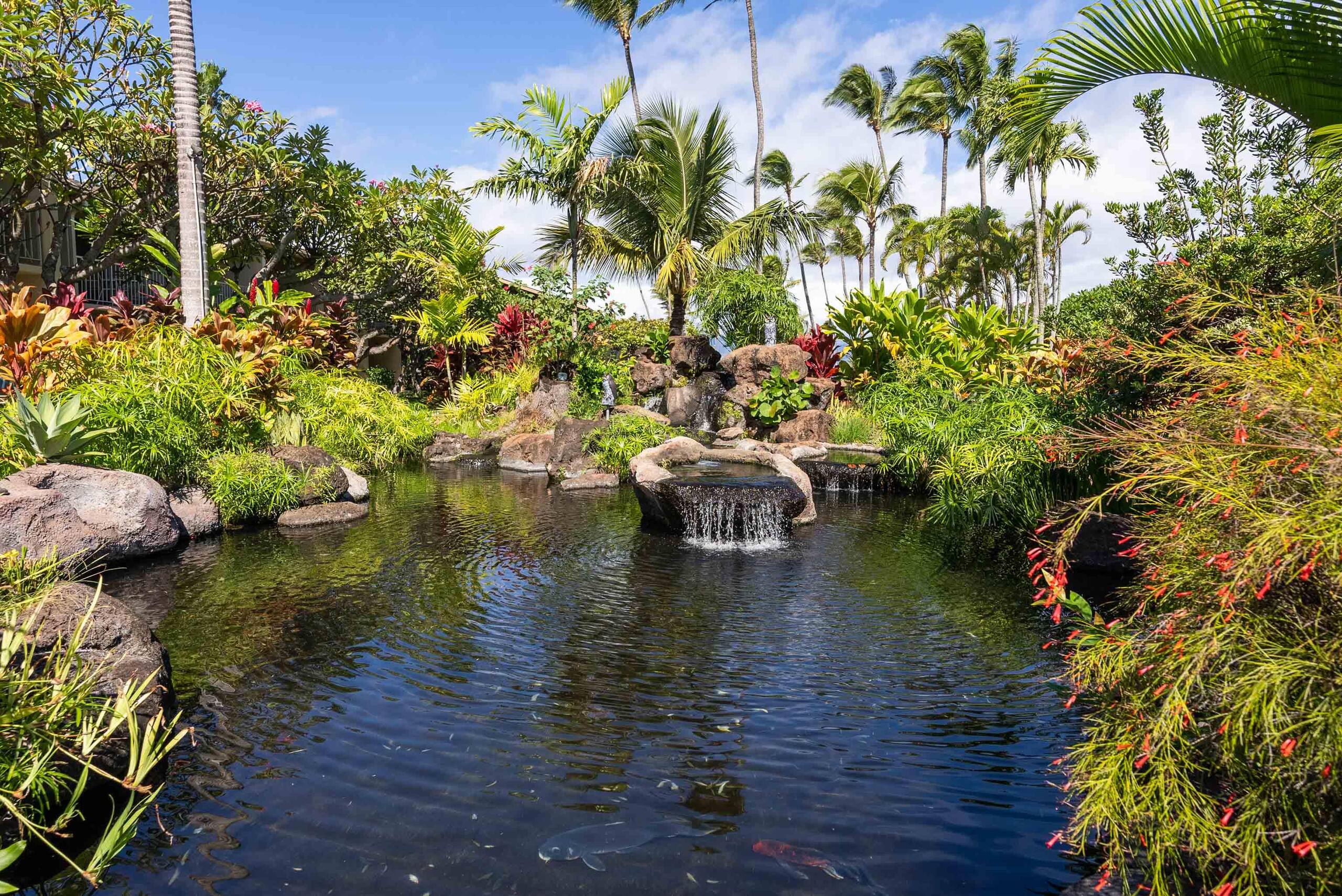Breathtaking Oceanfront Studio Napili Shores A106 - Image 57
