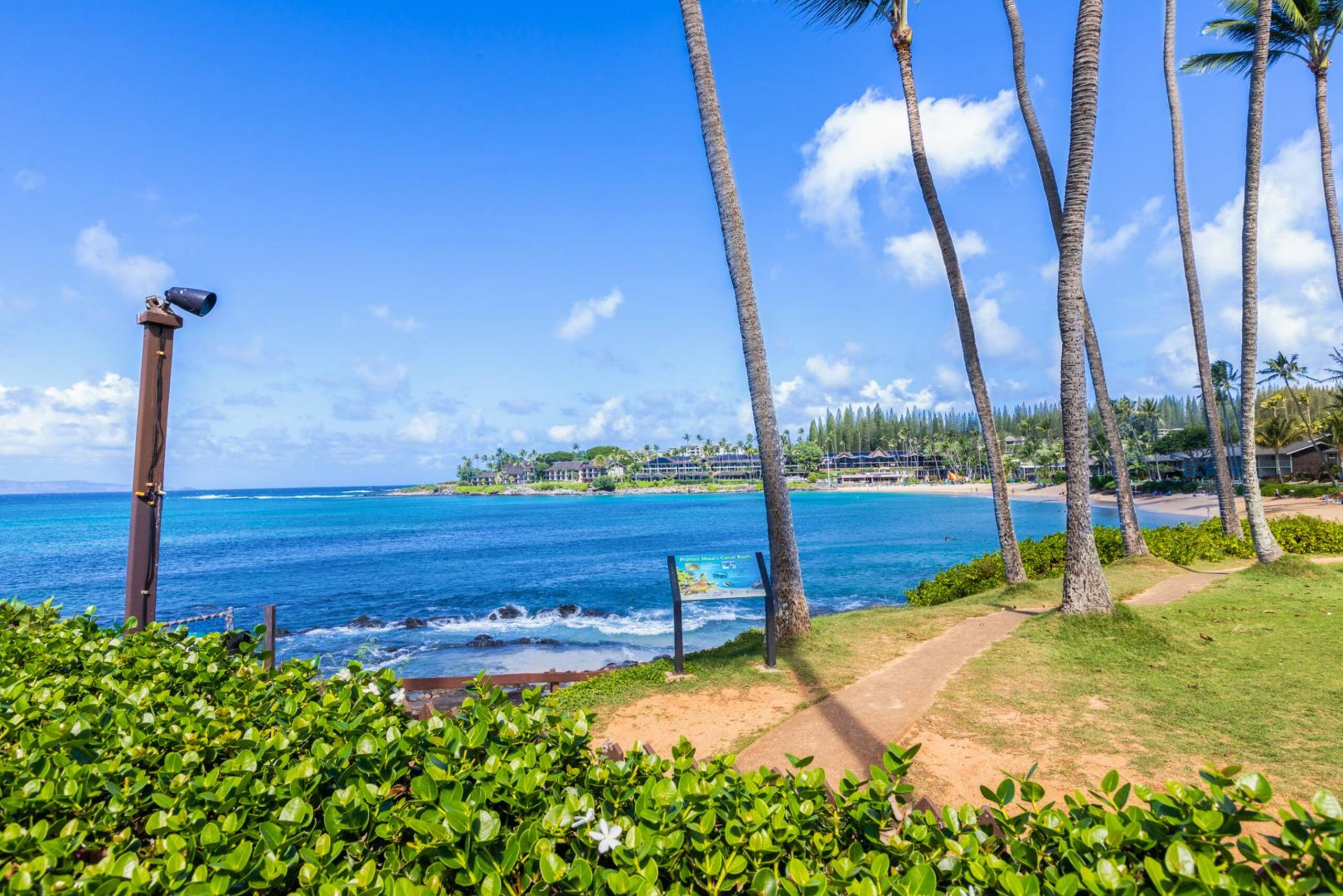 Breathtaking Oceanfront Studio Napili Shores A106 - Image 40