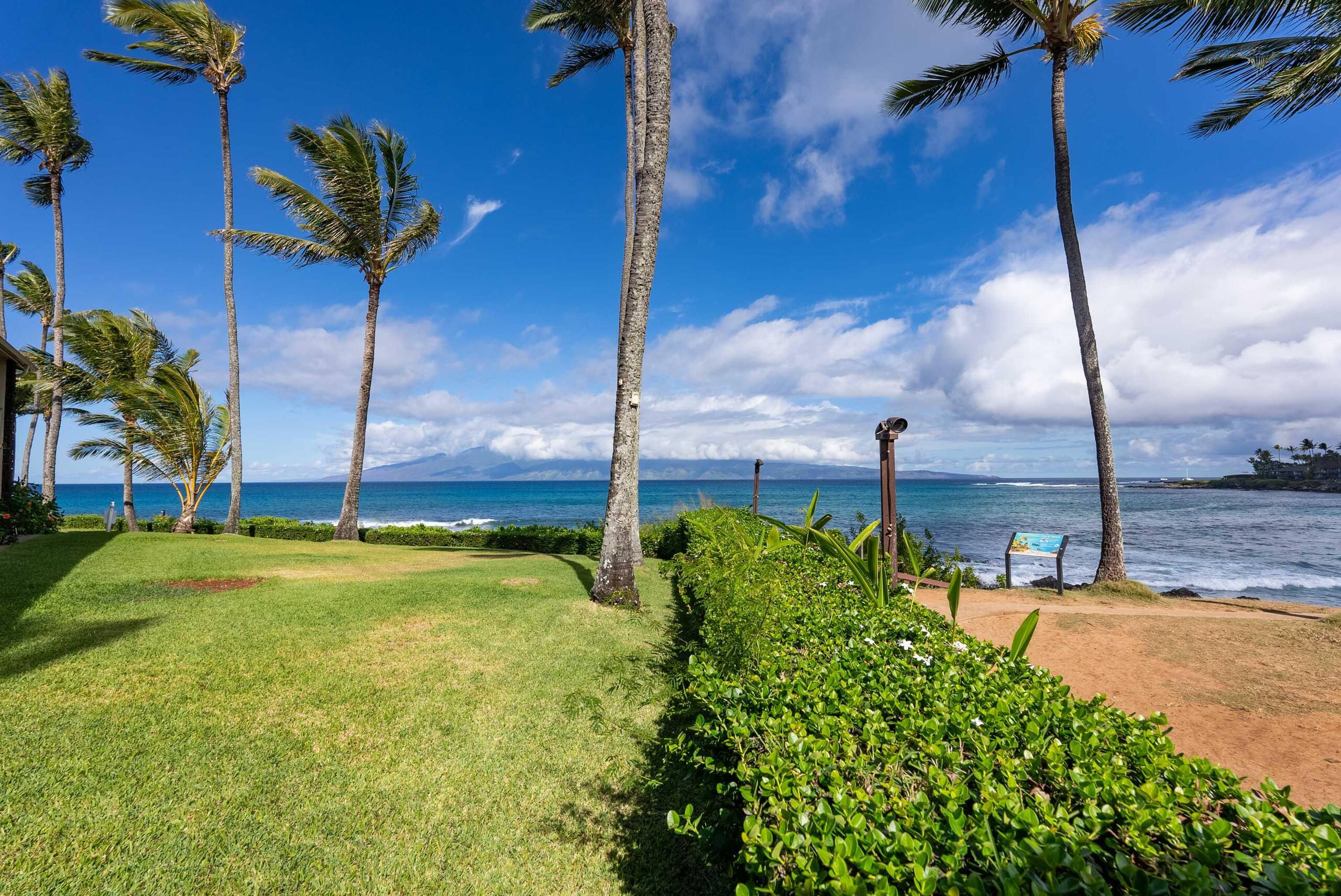 Breathtaking Oceanfront Studio Napili Shores A106 - Image 39