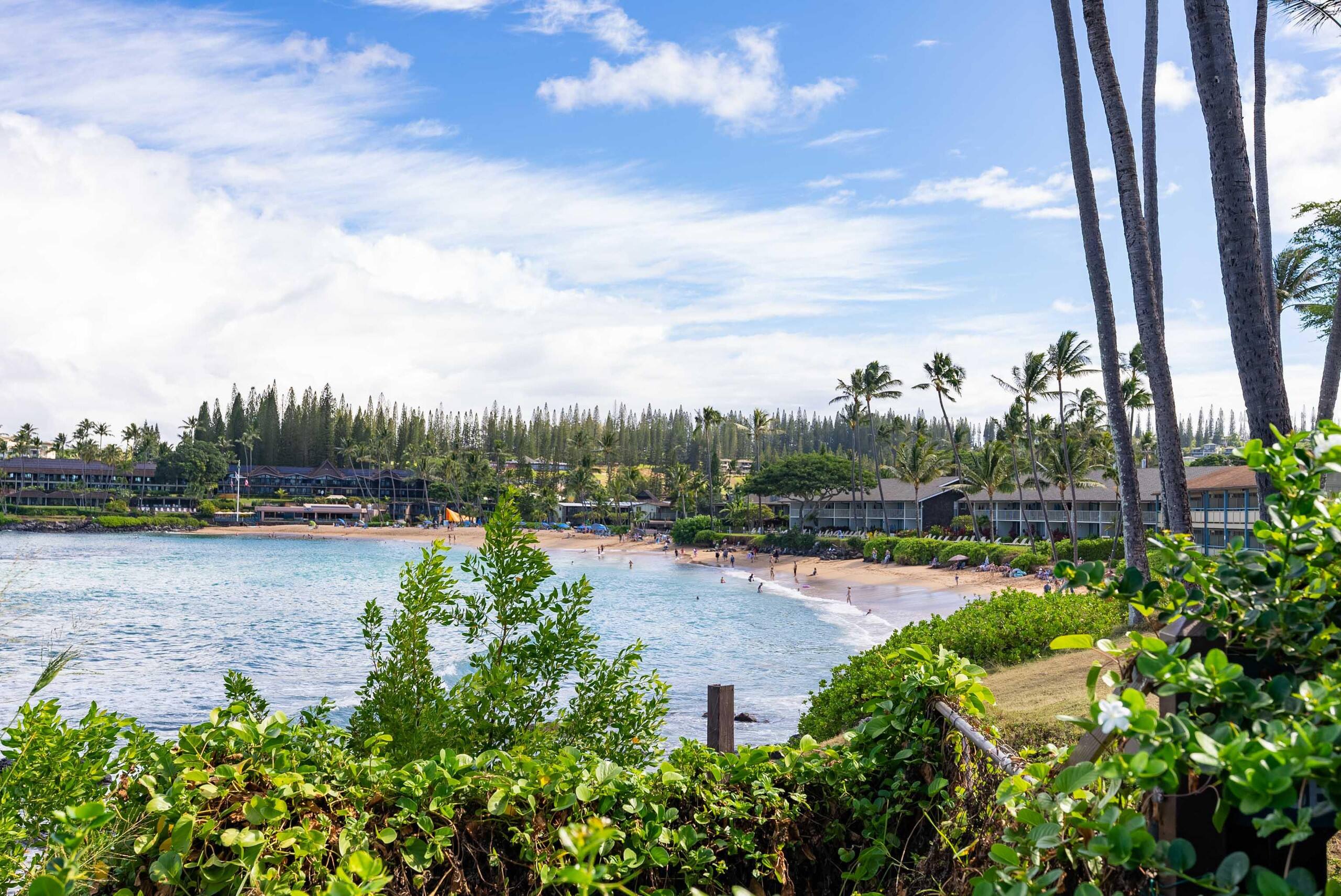 Breathtaking Oceanfront Studio Napili Shores A106 - Image 54