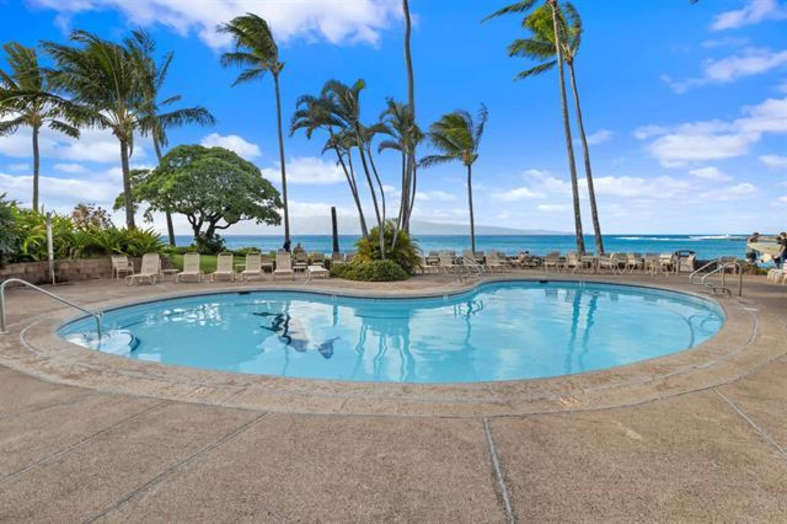 Breathtaking Oceanfront Studio Napili Shores A106 - Image 41