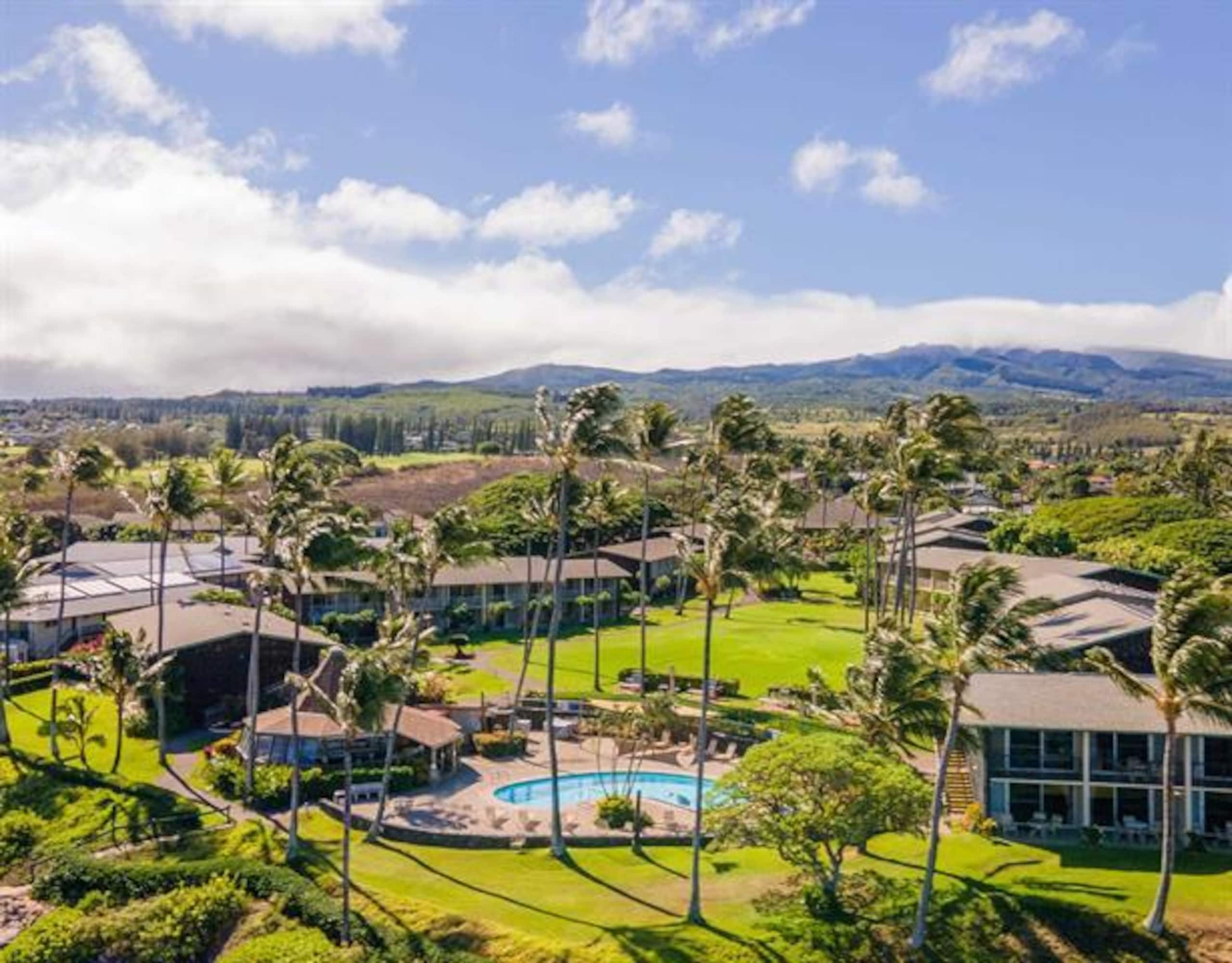 Breathtaking Oceanfront Studio Napili Shores A106 - Image 55