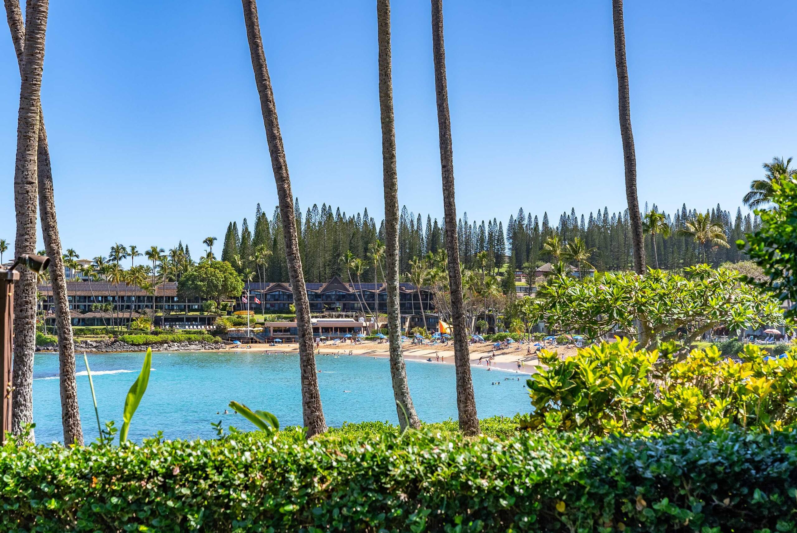 Breathtaking Oceanfront Studio Napili Shores A106 - Image 60