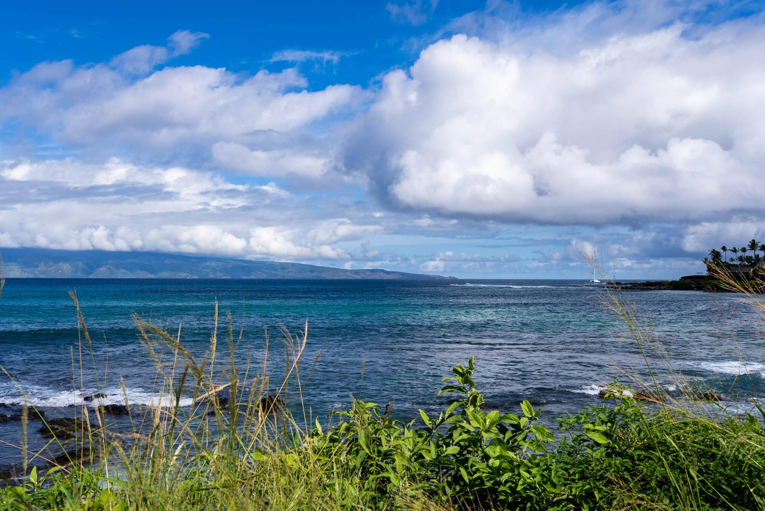 Breathtaking Oceanfront Studio Napili Shores A106 - Image 43
