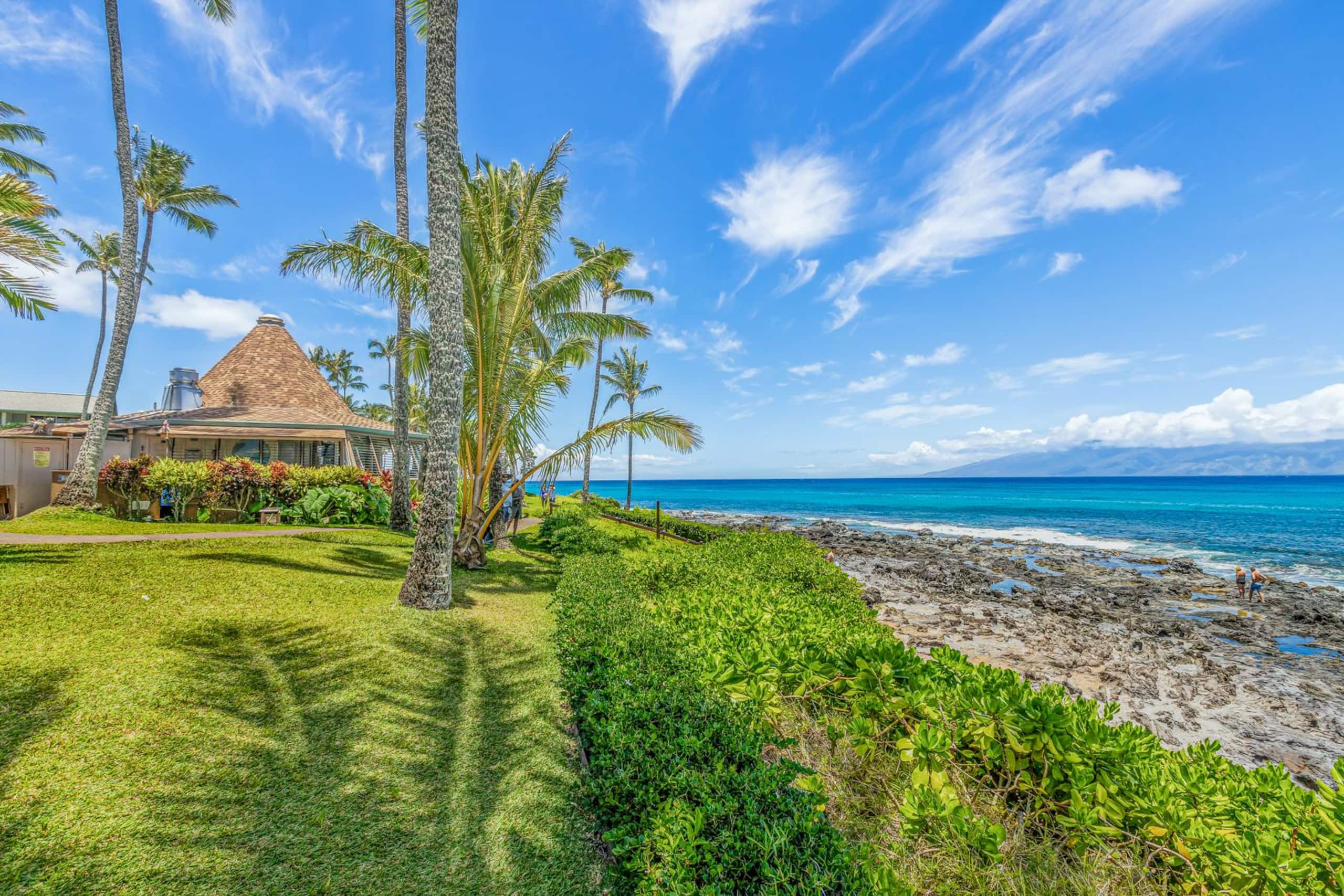 Breathtaking Oceanfront Studio Napili Shores A106 - Image 38