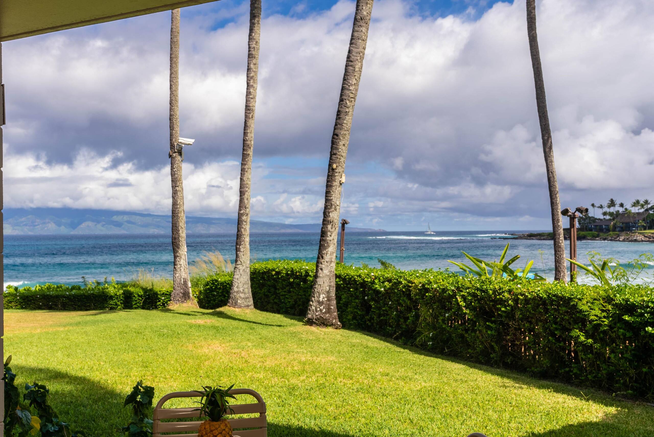 Breathtaking Oceanfront Studio Napili Shores A106 - Image 7