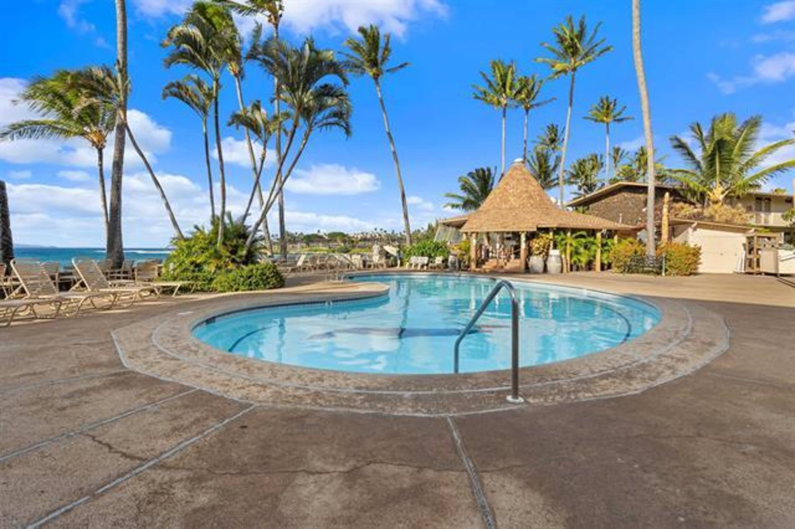 Breathtaking Oceanfront Studio Napili Shores A106 - Image 42