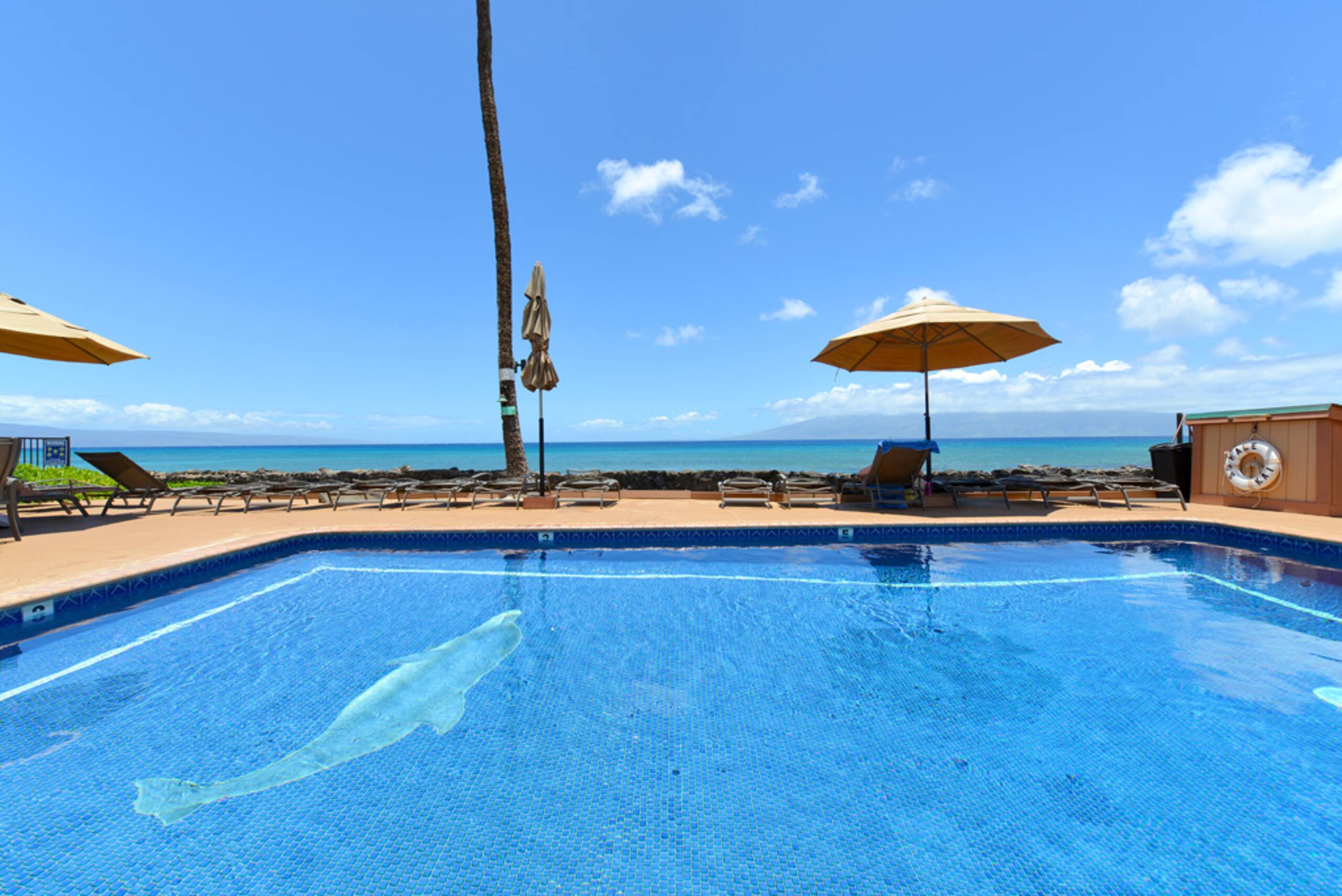 Condo in Lahaina · ★4.73 · 1 bedroom · 1 bed · 1 private bath - Image 23