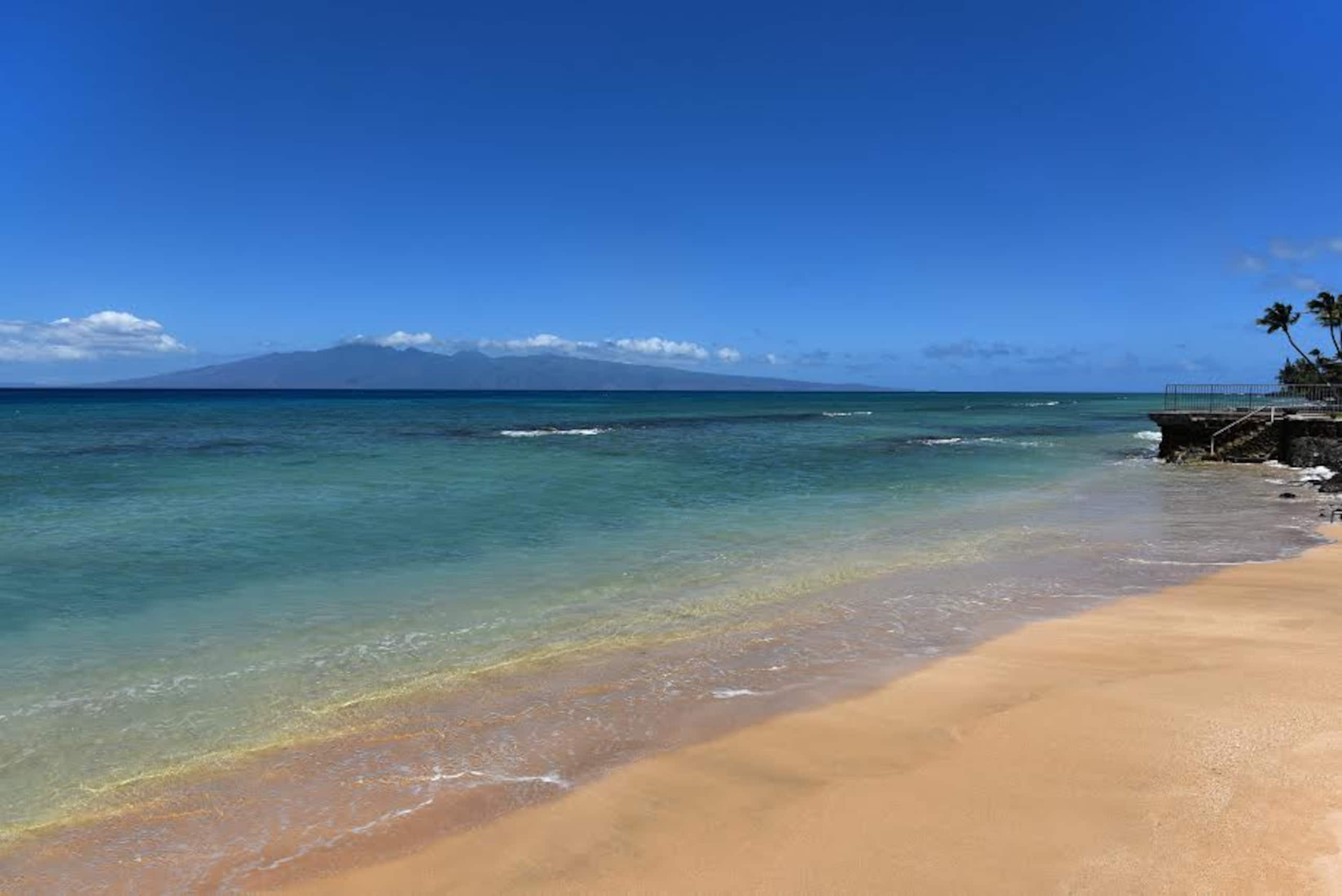 Condo in Lahaina · ★4.86 · 1 bedroom · 1 bed · 1 private bath - Image 13