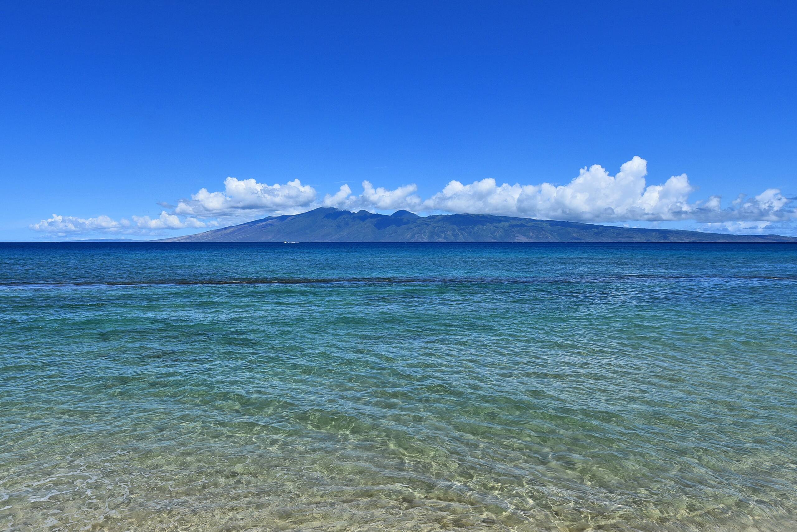 Condo in Lahaina · ★4.8 · 1 bedroom · 1 bed · 1 bath - Image 40