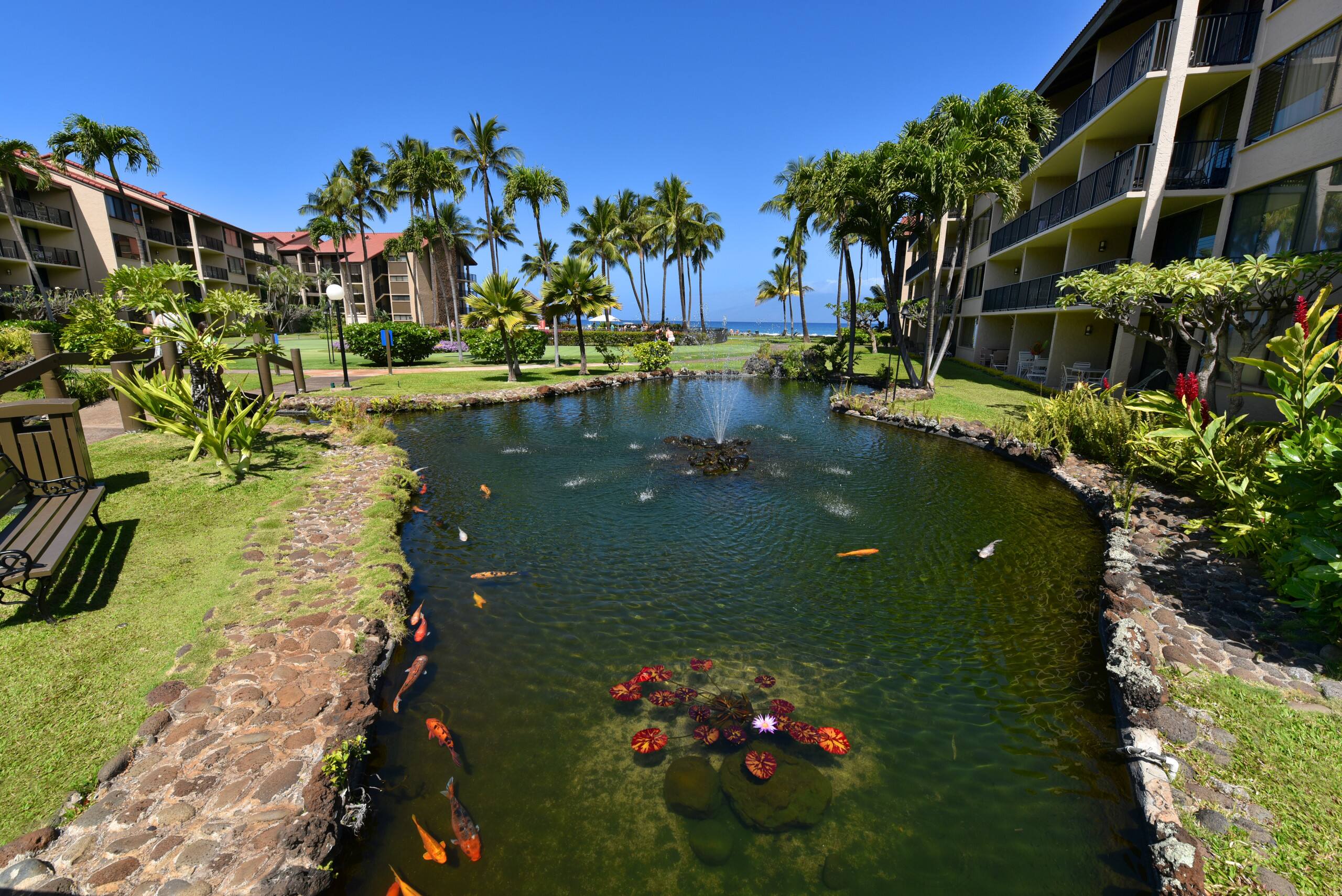 Condo in Lahaina · ★4.8 · 1 bedroom · 1 bed · 1 bath - Image 33