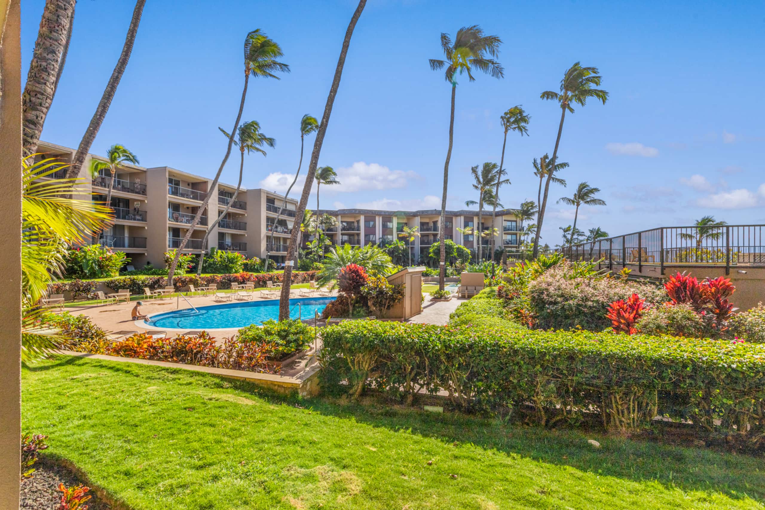 Condo in Lahaina · ★4.55 · 1 bedroom · 2 beds · 1 bath - Image 2