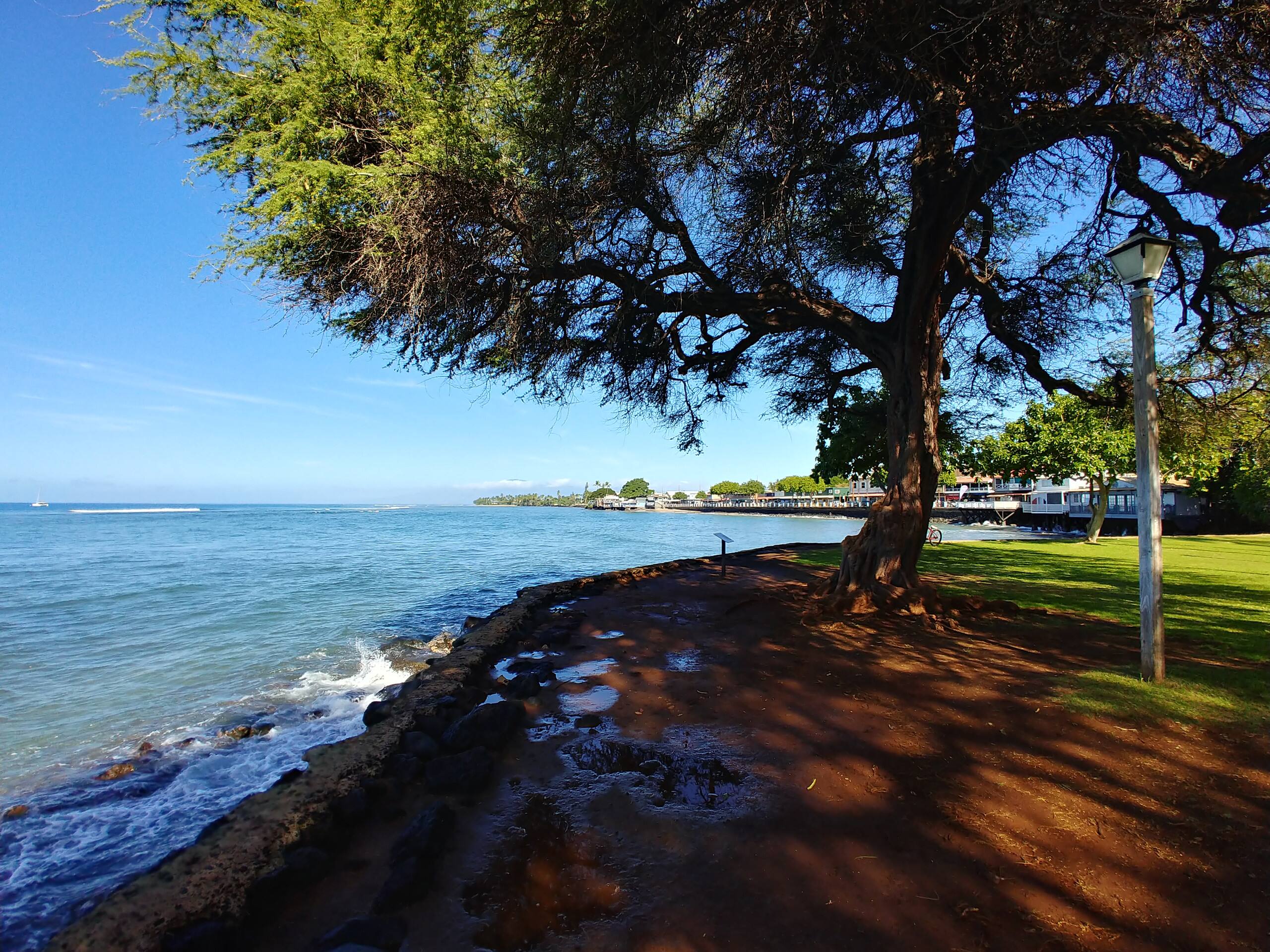 Condo in Lahaina · ★4.85 · 1 bedroom · 1 bed · 1 private bath - Image 36