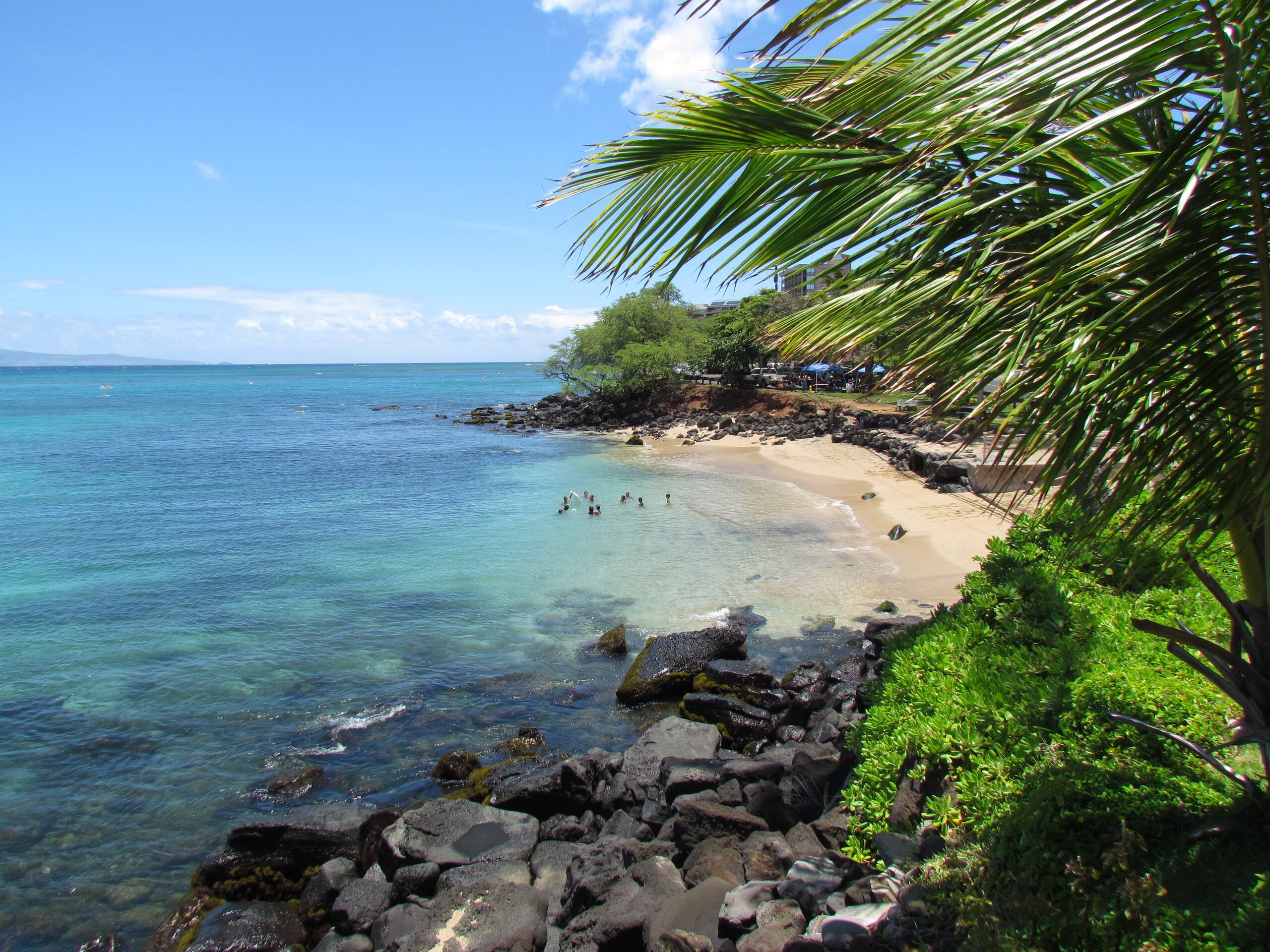 Condo in Lahaina · ★4.84 · 1 bedroom · 1 bed · 1 bath - Image 50