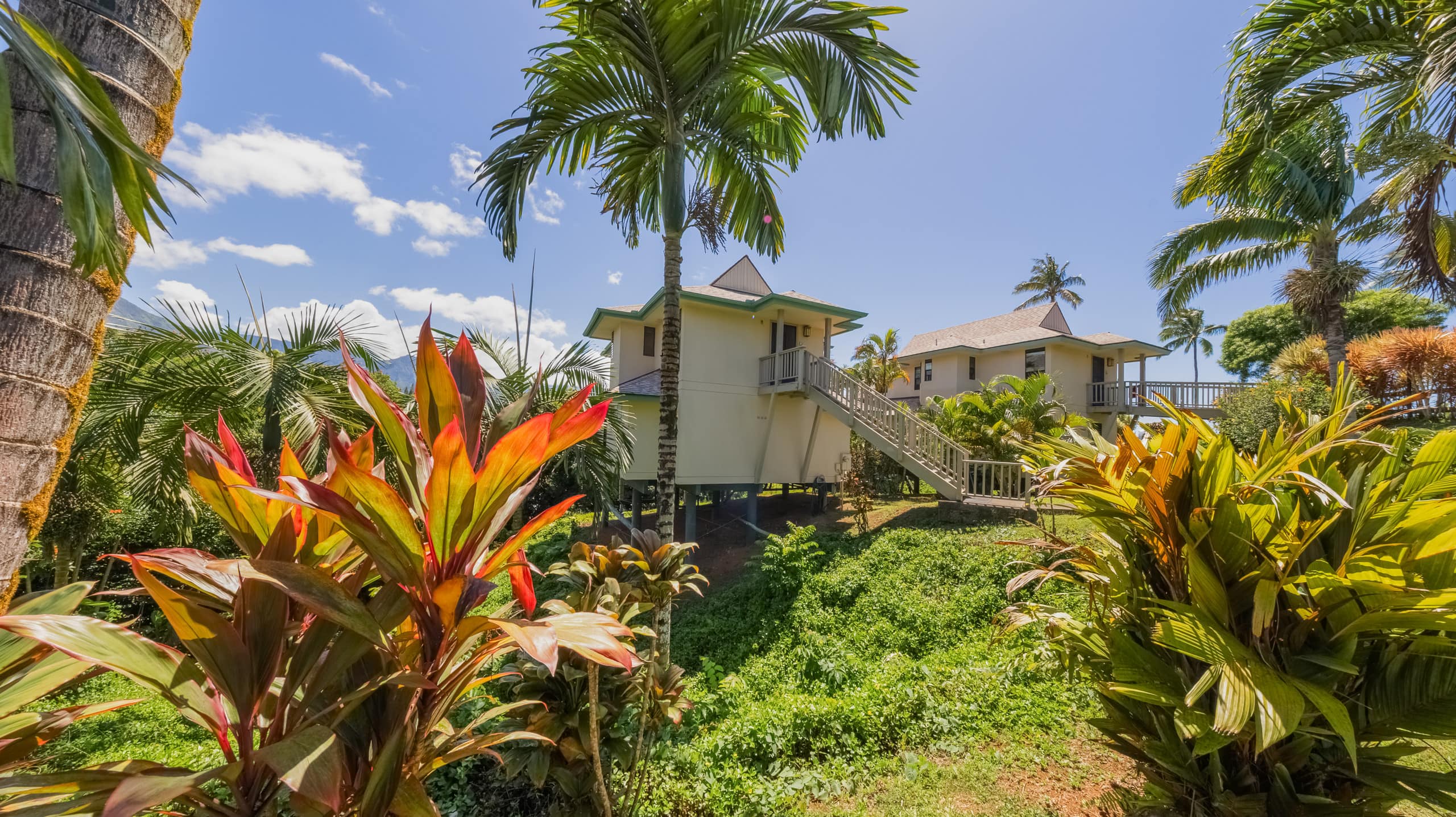 Condo in Princeville · ★4.9 · 3 bedrooms · 3 beds · 2.5 baths - Image 41