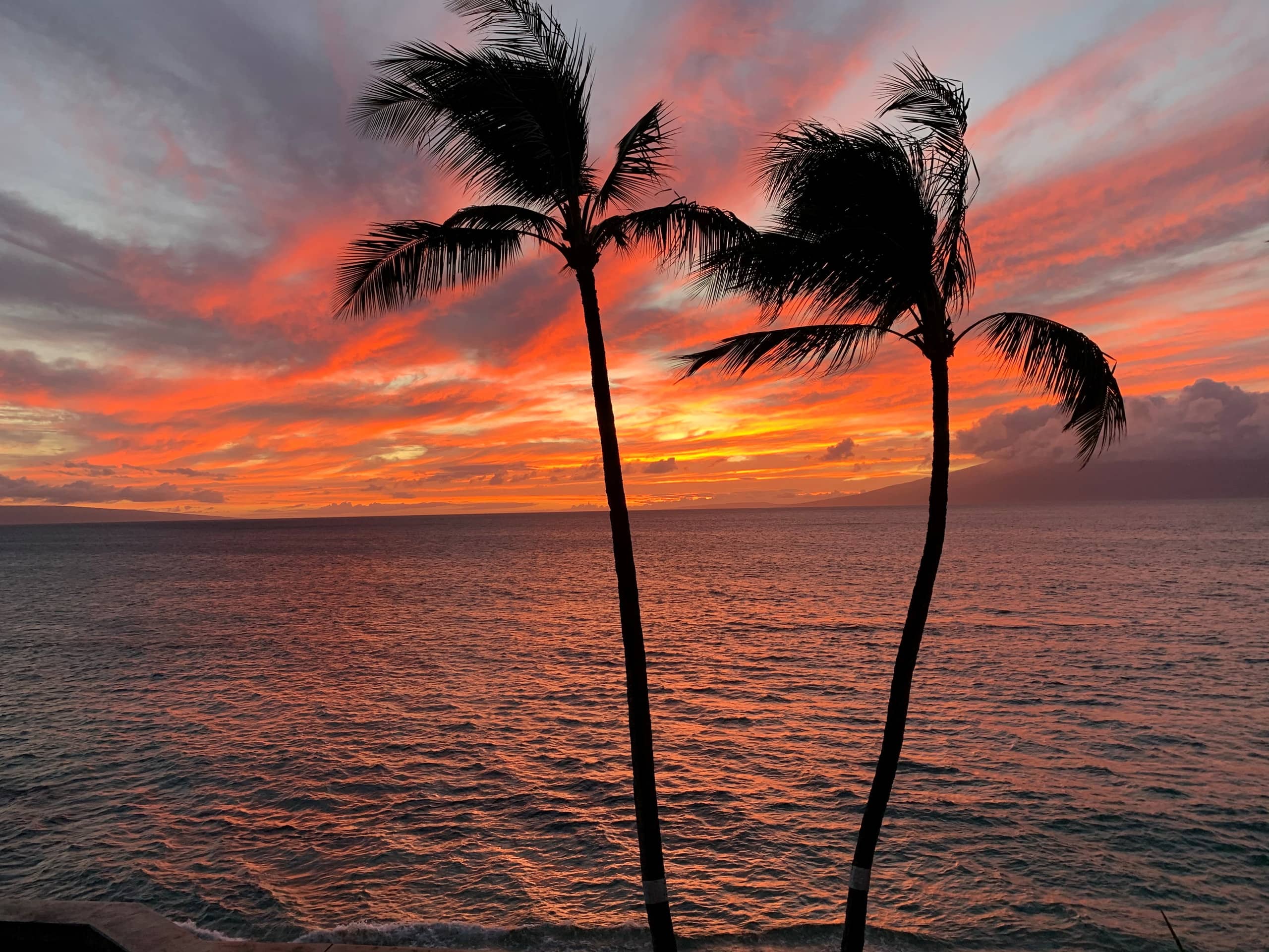 Condo in Lahaina · ★4.98 · 1 bedroom · 1 bed · 1 private bath - Image 35