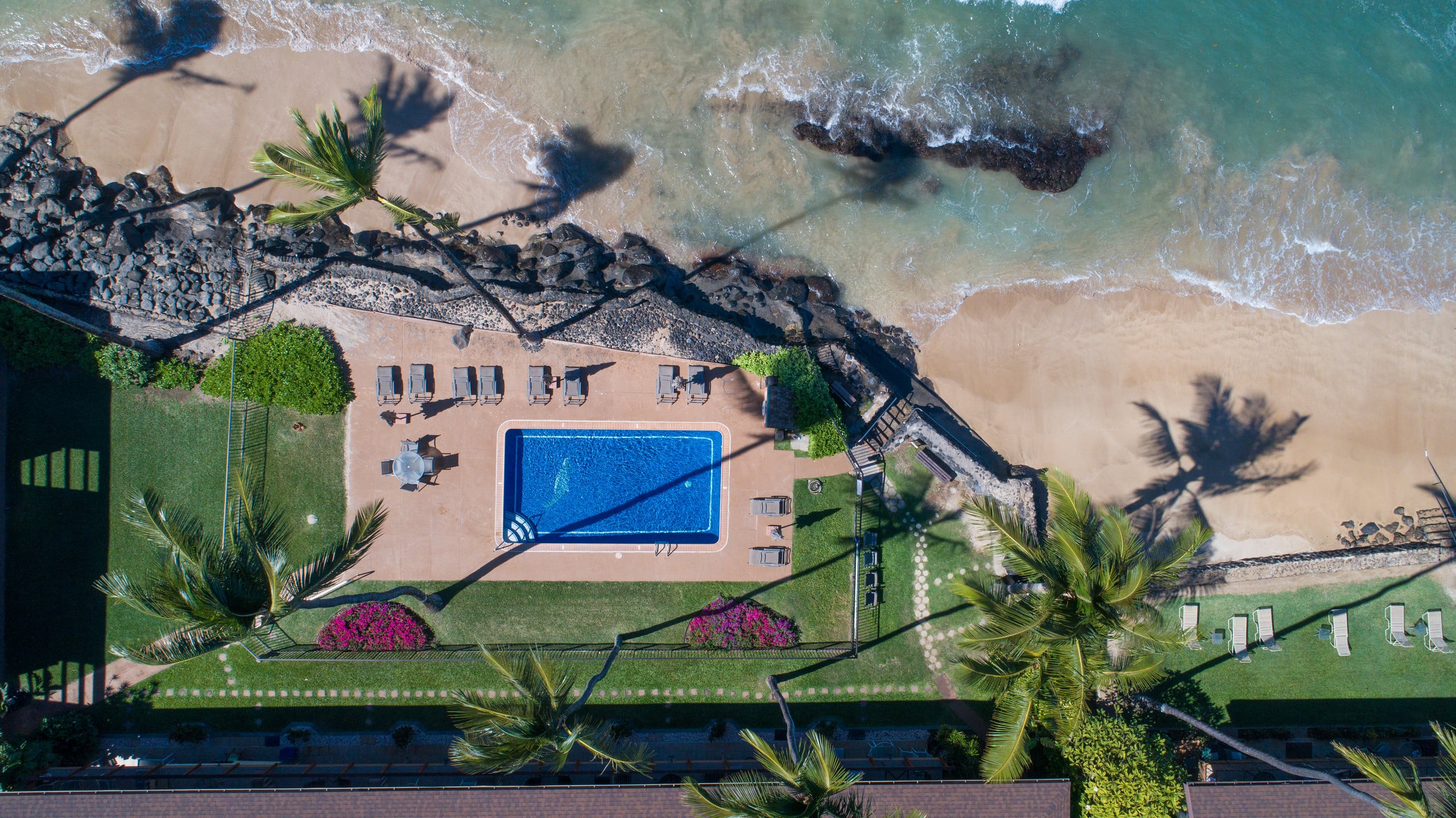 Condo in Lahaina · ★4.76 · 2 bedrooms · 2 beds · 2 private baths - Image 36