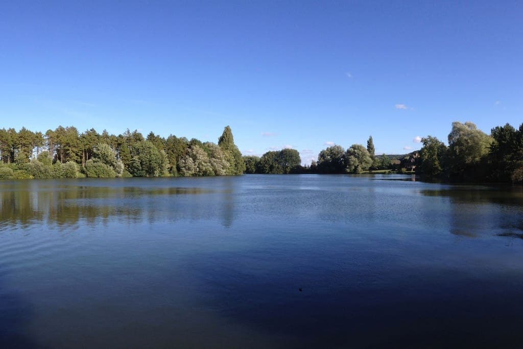 A serene lake is surrounded by lush greenery, featuring tall trees reflecting on the calm water. The clear blue sky creates a tranquil atmosphere, with gentle ripples visible on the lake's surface.
