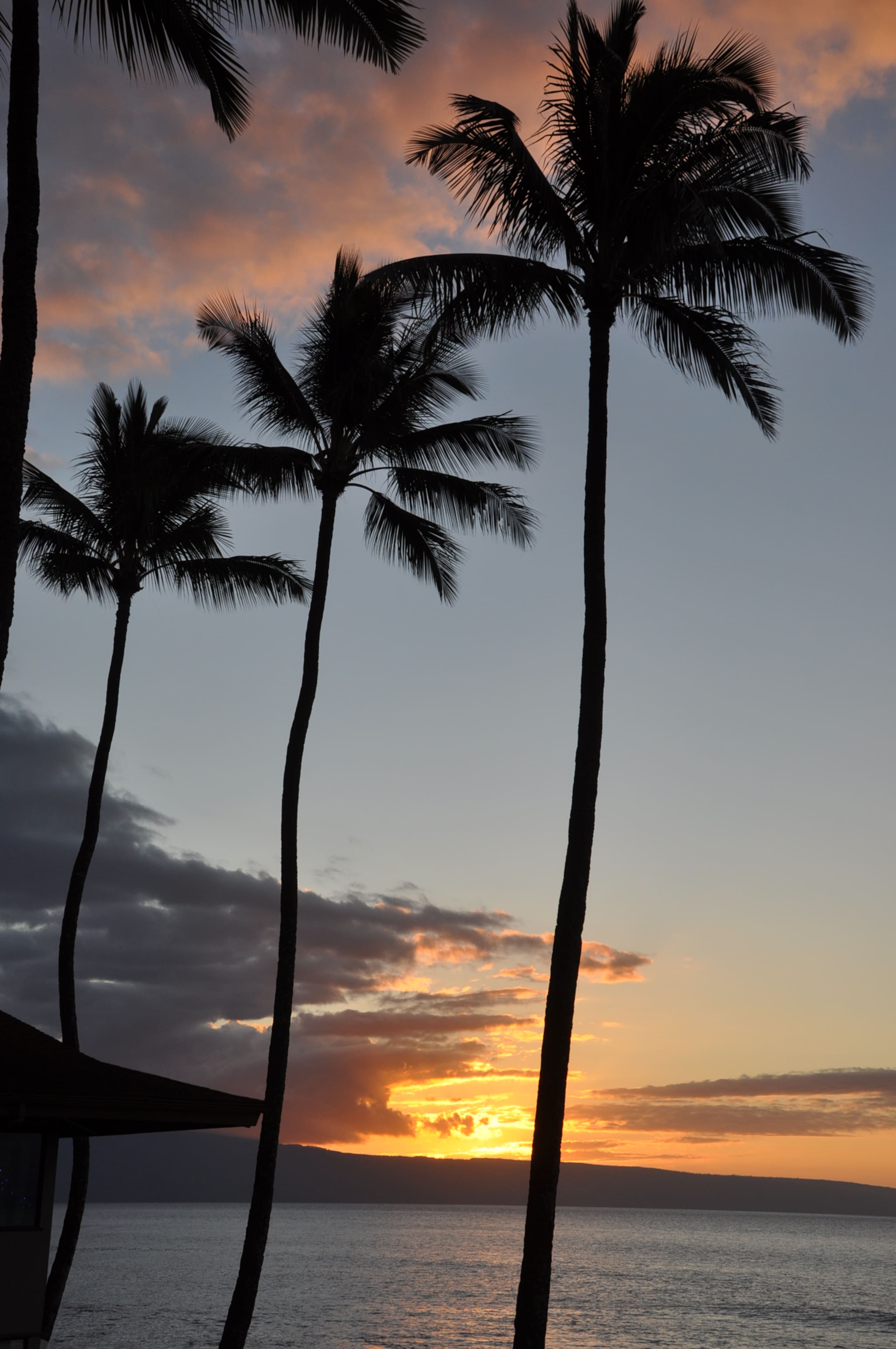 Condo in Lahaina · ★4.87 · 1 bedroom · 1 bed · 1 bath - Image 41