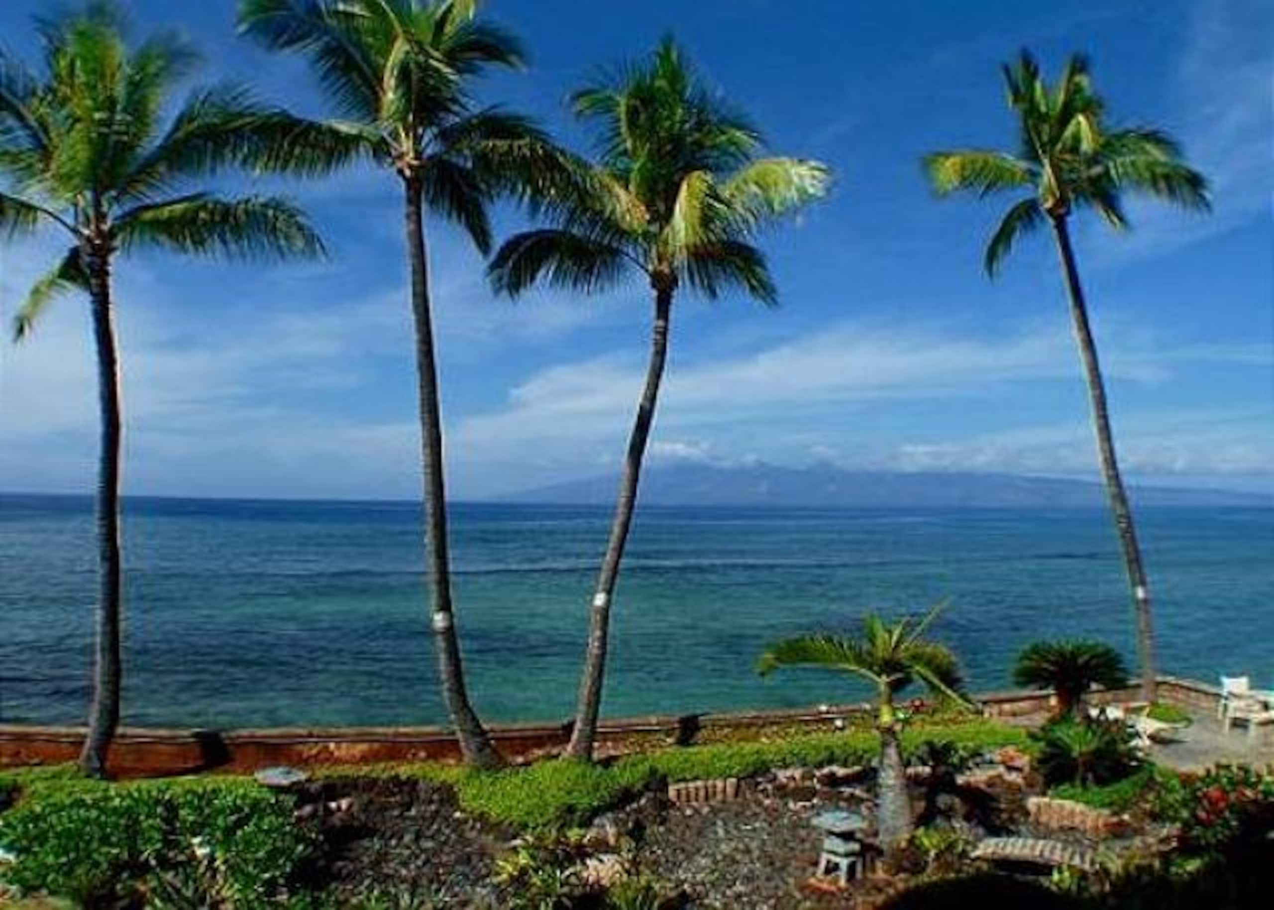 Condo in Lahaina · ★4.83 · 1 bedroom · 1 bed · 1 private bath - Image 1