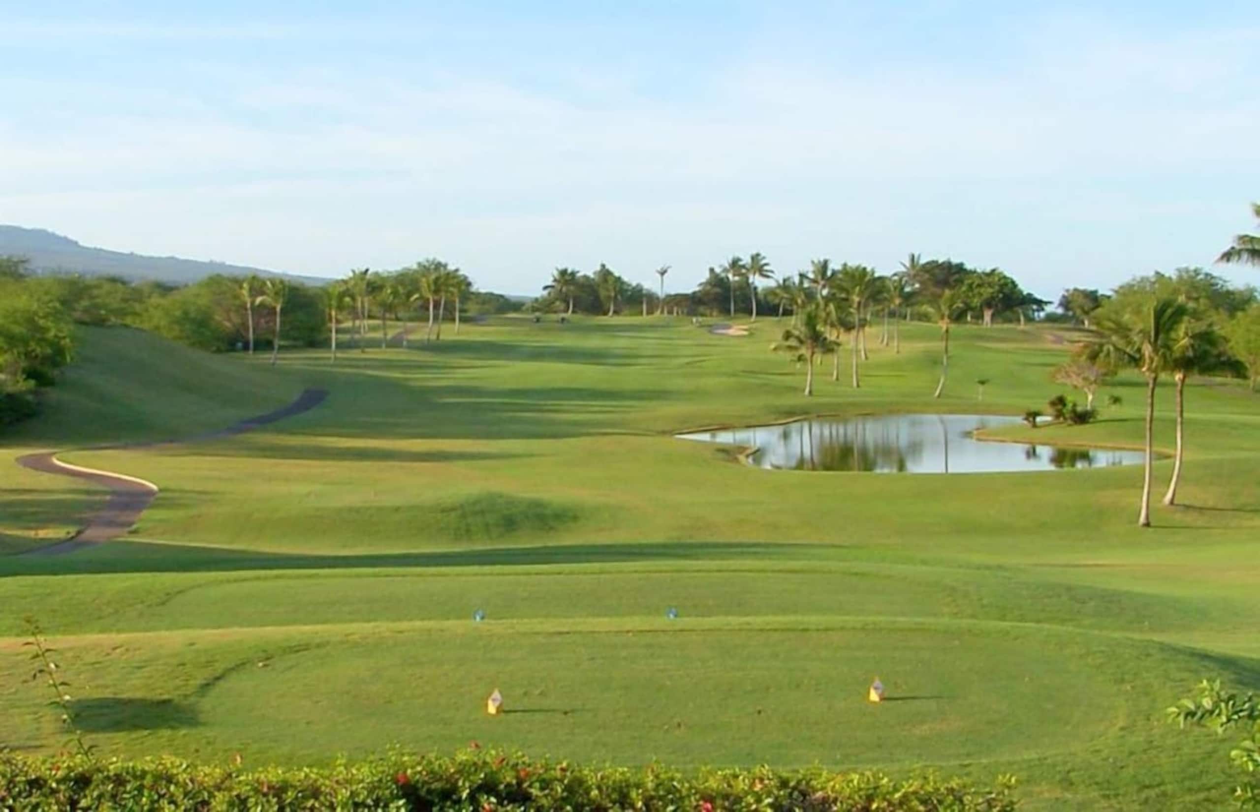 Condo in Kihei · ★4.58 · 1 bedroom · 2 beds · 1 bath - Image 22