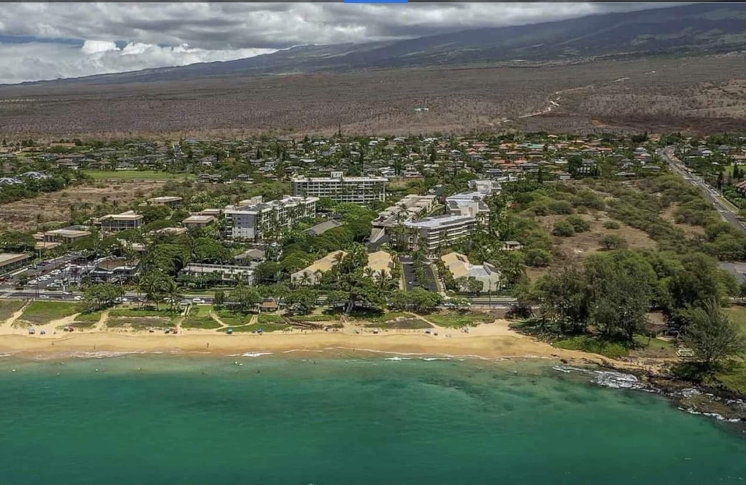 Condo in Kihei · ★4.58 · 1 bedroom · 2 beds · 1 bath - Image 20