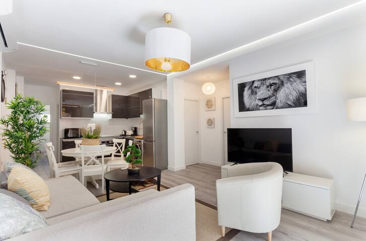 Latina Terrace Iv apartment in Madrid gallery image 2