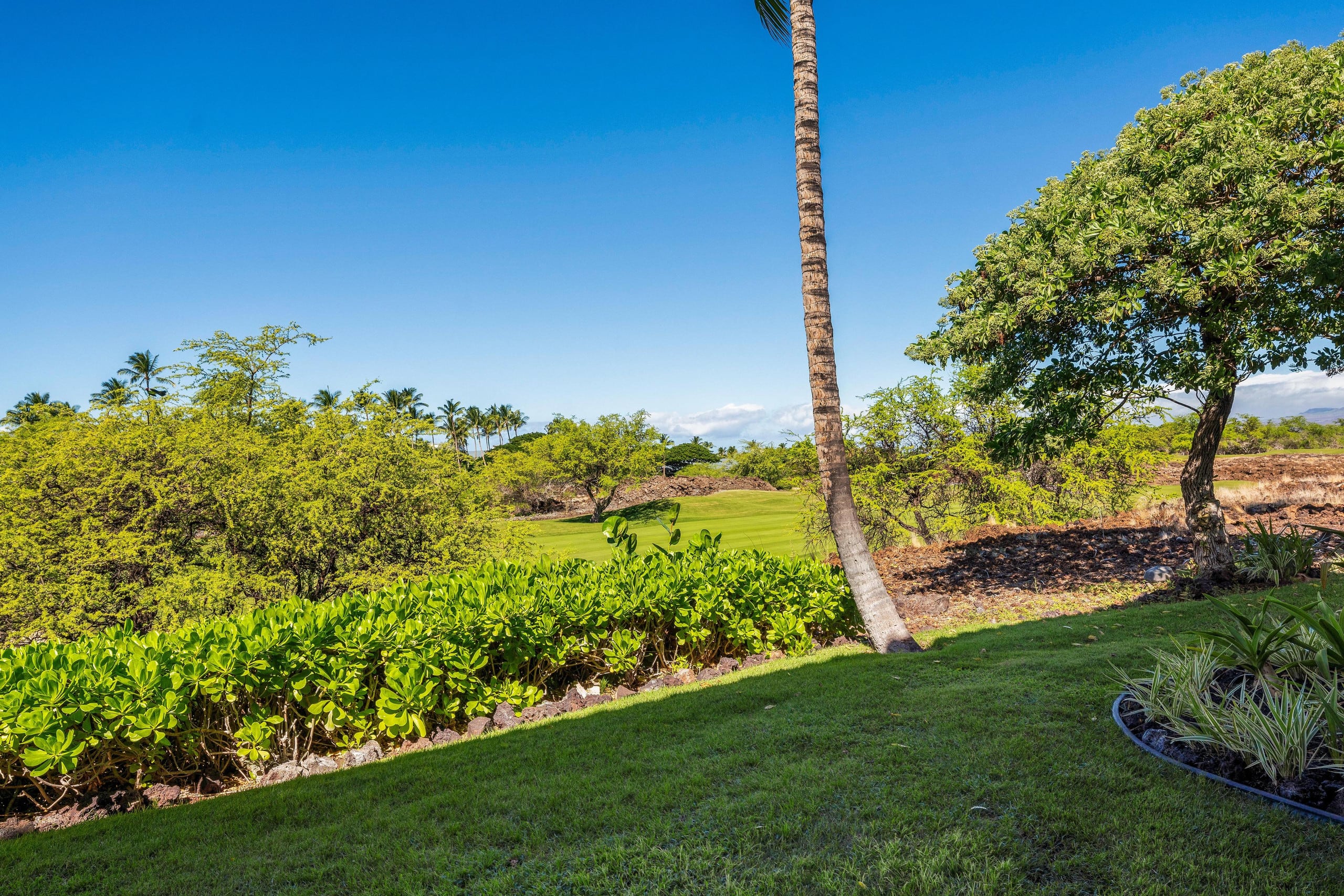Townhouse in Waimea · ★4.86 · 2 bedrooms · 4 beds · 2.5 baths - Image 60