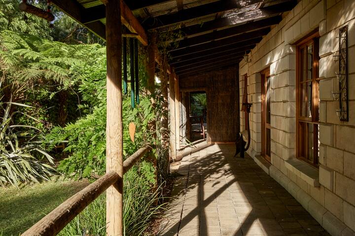 Jacuzzi lodge: Private rainforest with river gallery image 2