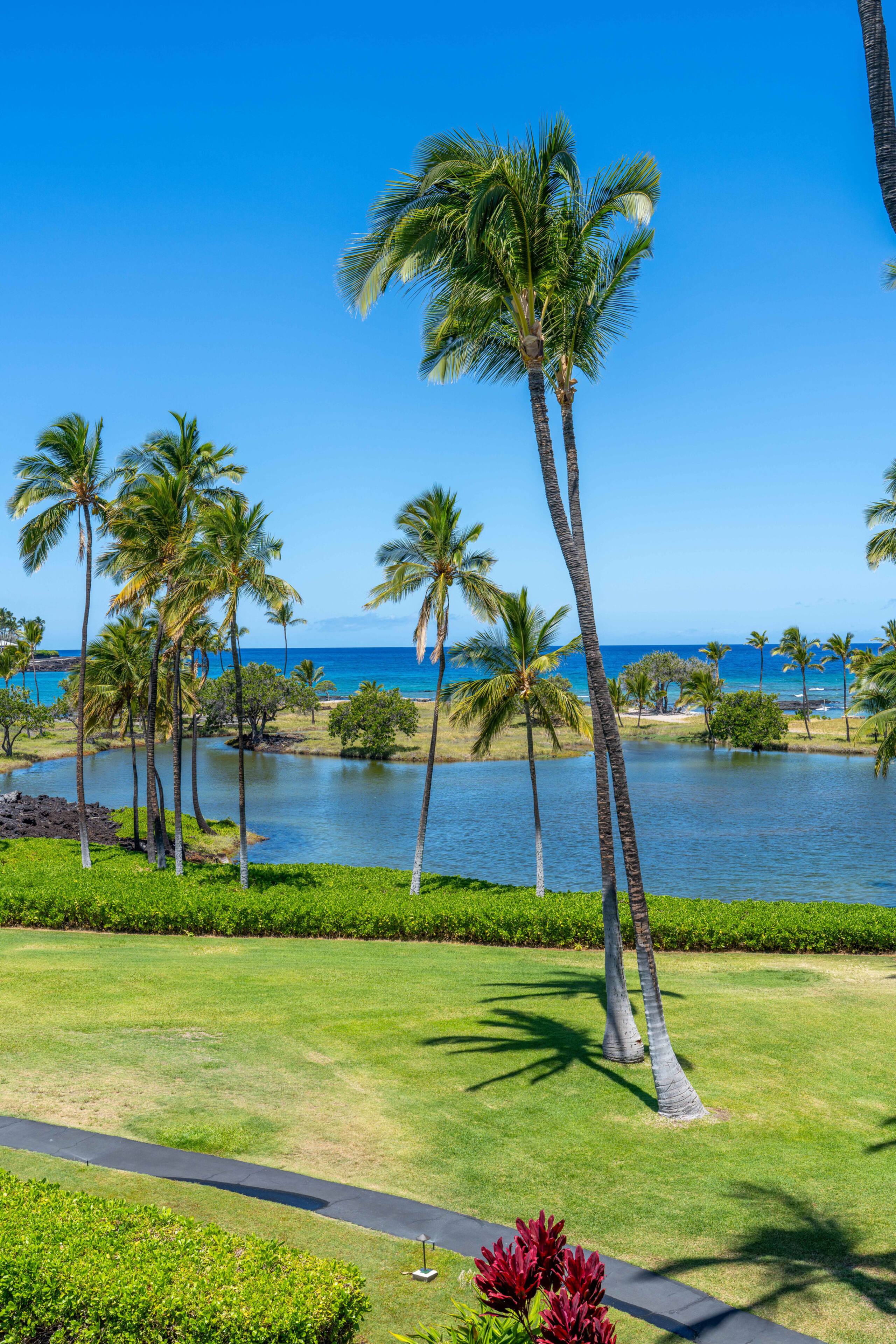 Condo in Waimea · ★5.0 · 2 bedrooms · 3 beds · 2.5 baths - Image 25