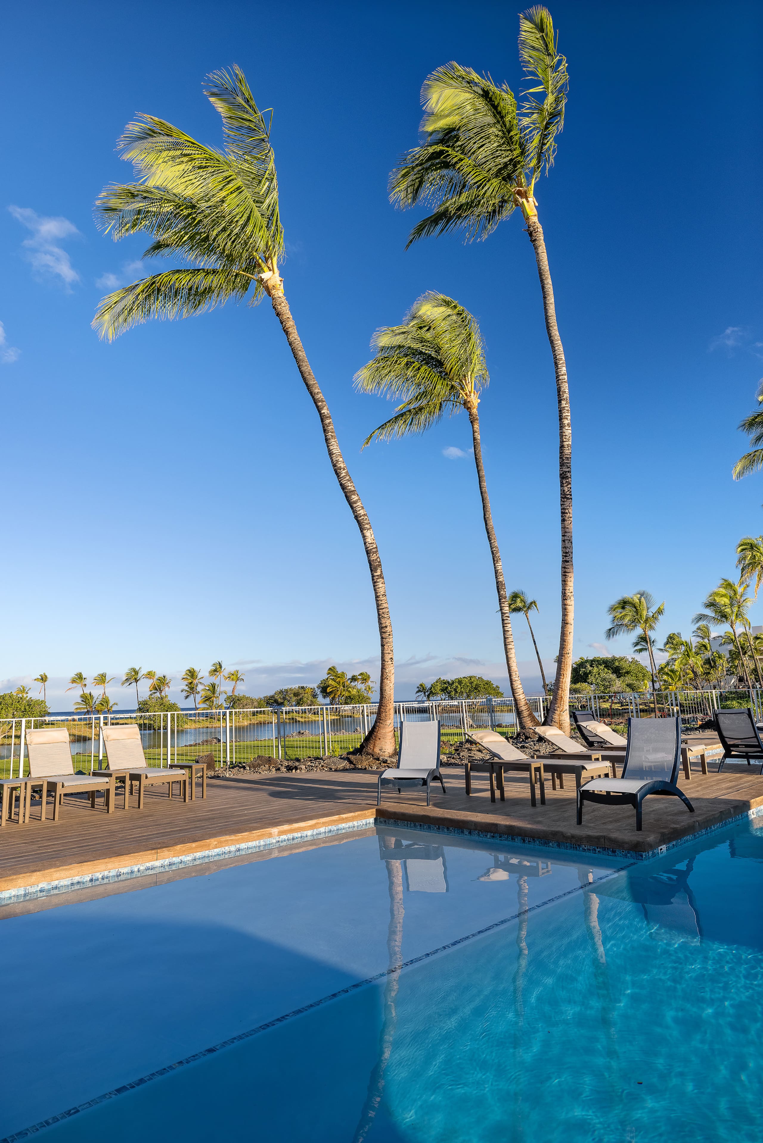 Condo in Waimea · ★5.0 · 2 bedrooms · 3 beds · 2.5 baths - Image 4