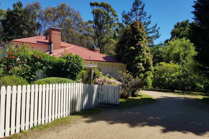 The French House gallery image 3