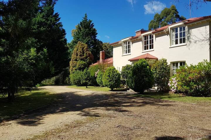 The French House gallery image 2