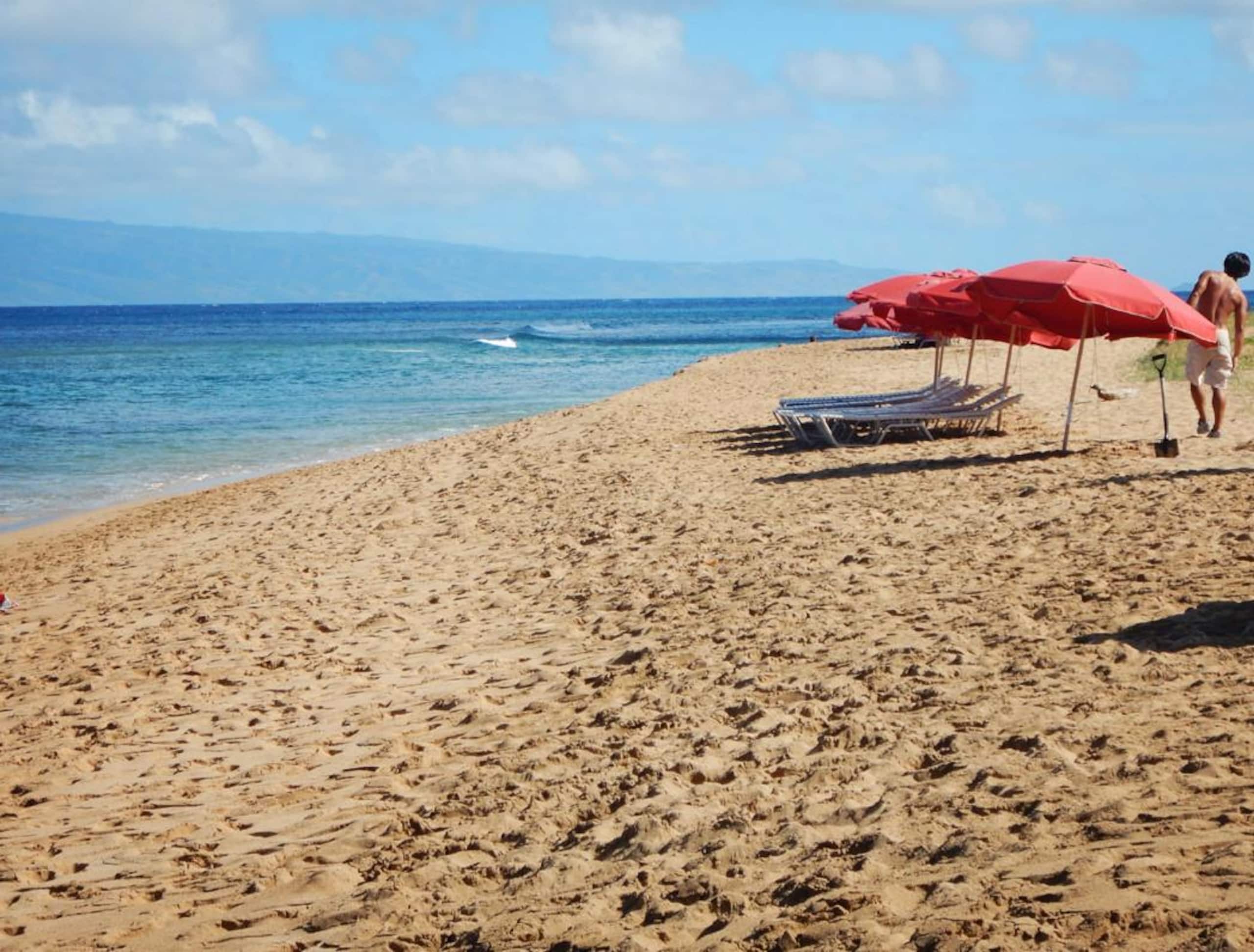 Condo in Lahaina · ★4.82 · 1 bedroom · 2 beds · 1 bath - Image 1