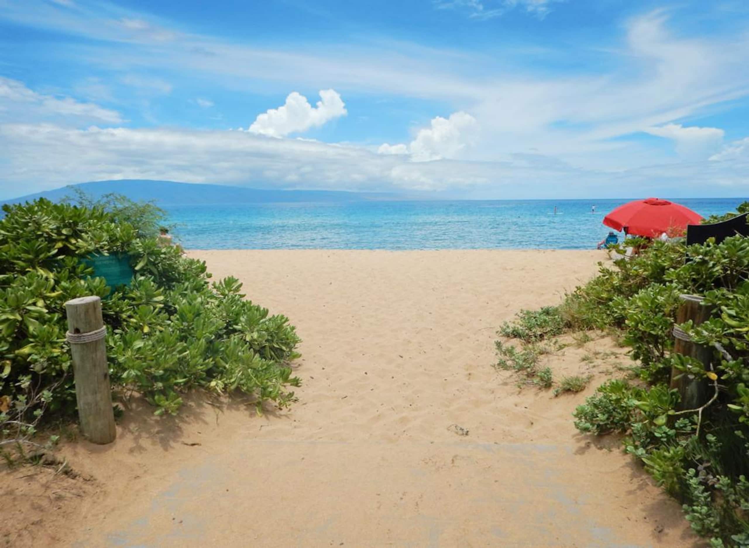 Condo in Lahaina · ★4.82 · 1 bedroom · 2 beds · 1 bath - Image 19