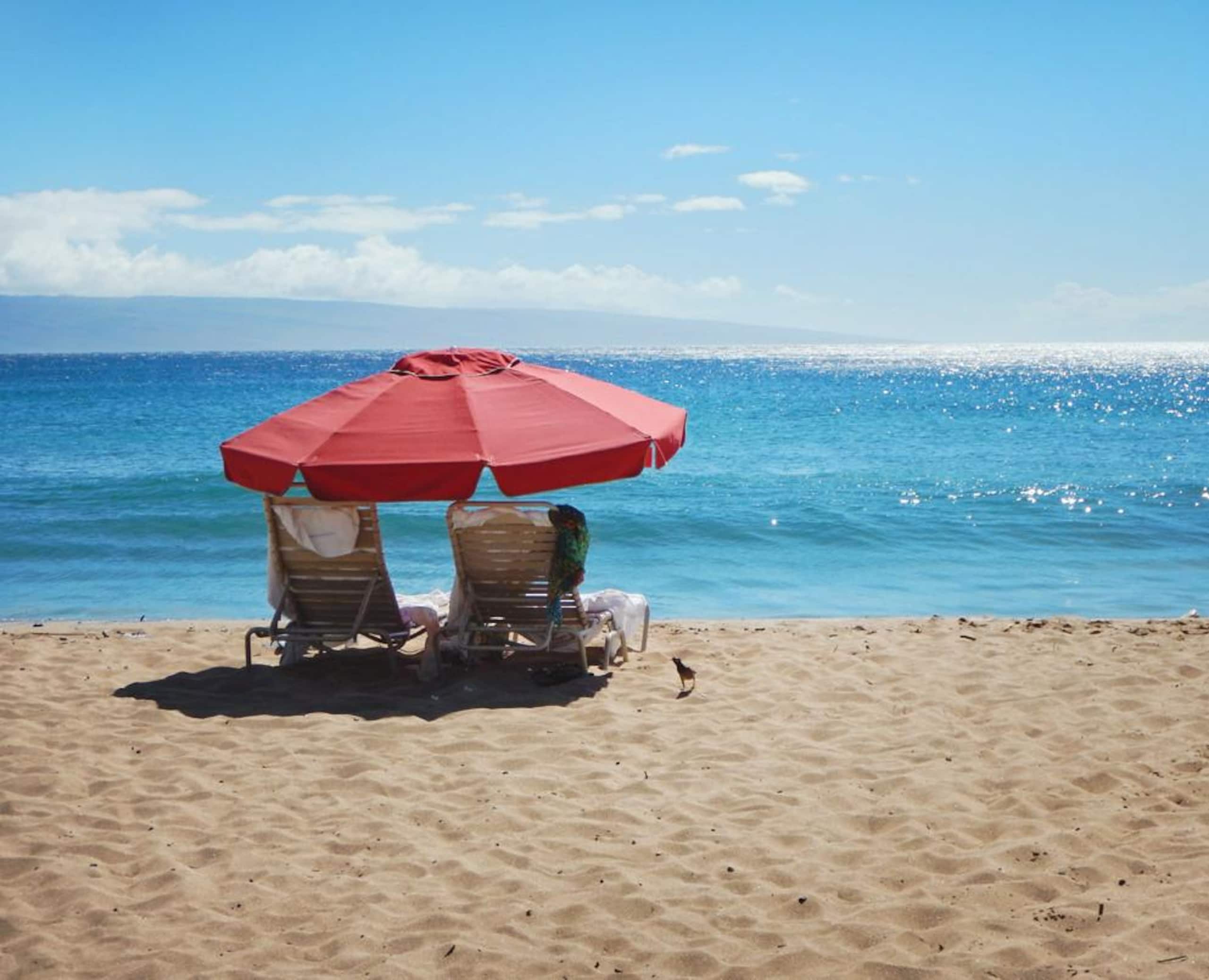 Condo in Lahaina · ★4.82 · 1 bedroom · 2 beds · 1 bath - Image 20